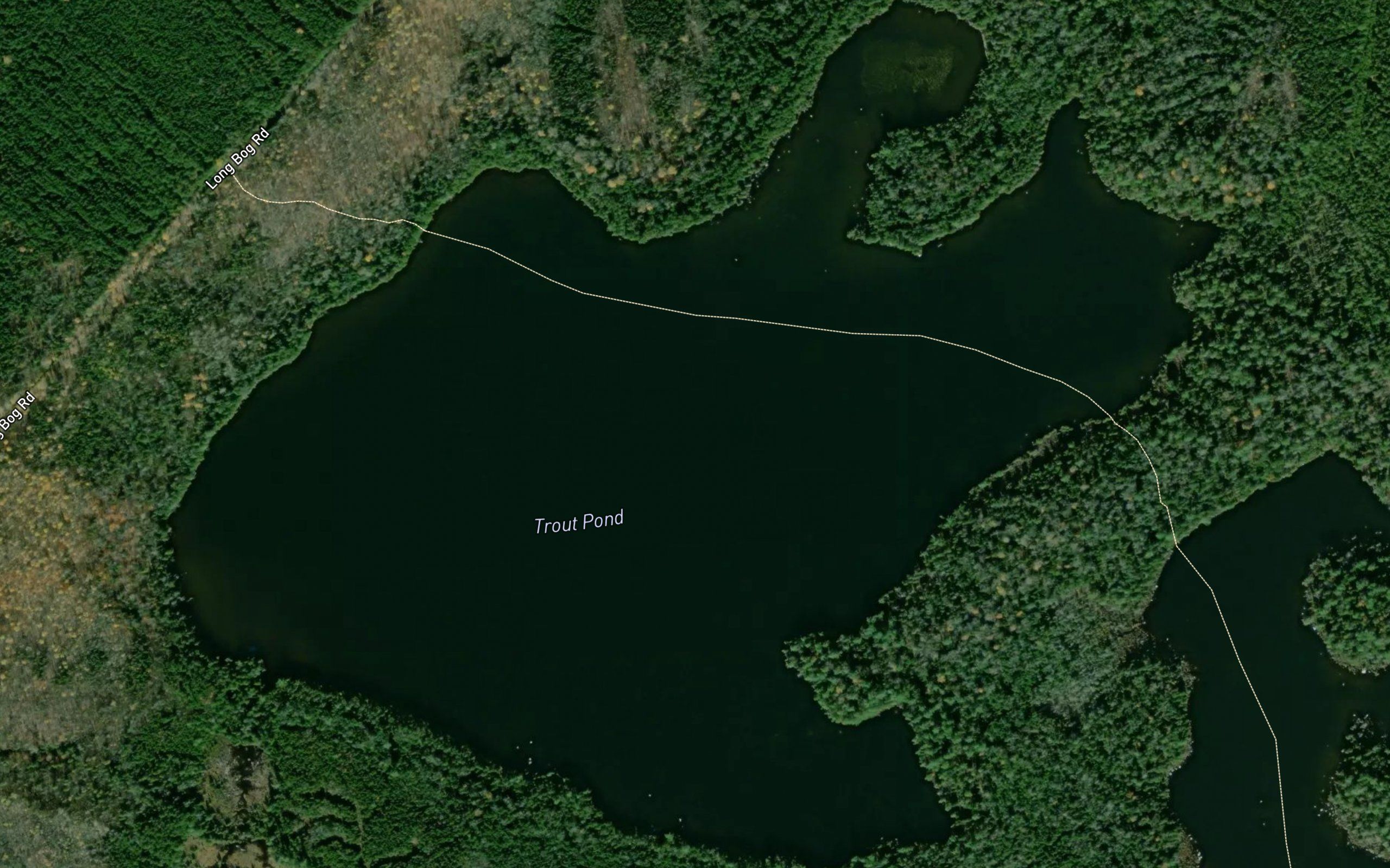 Trout Pond