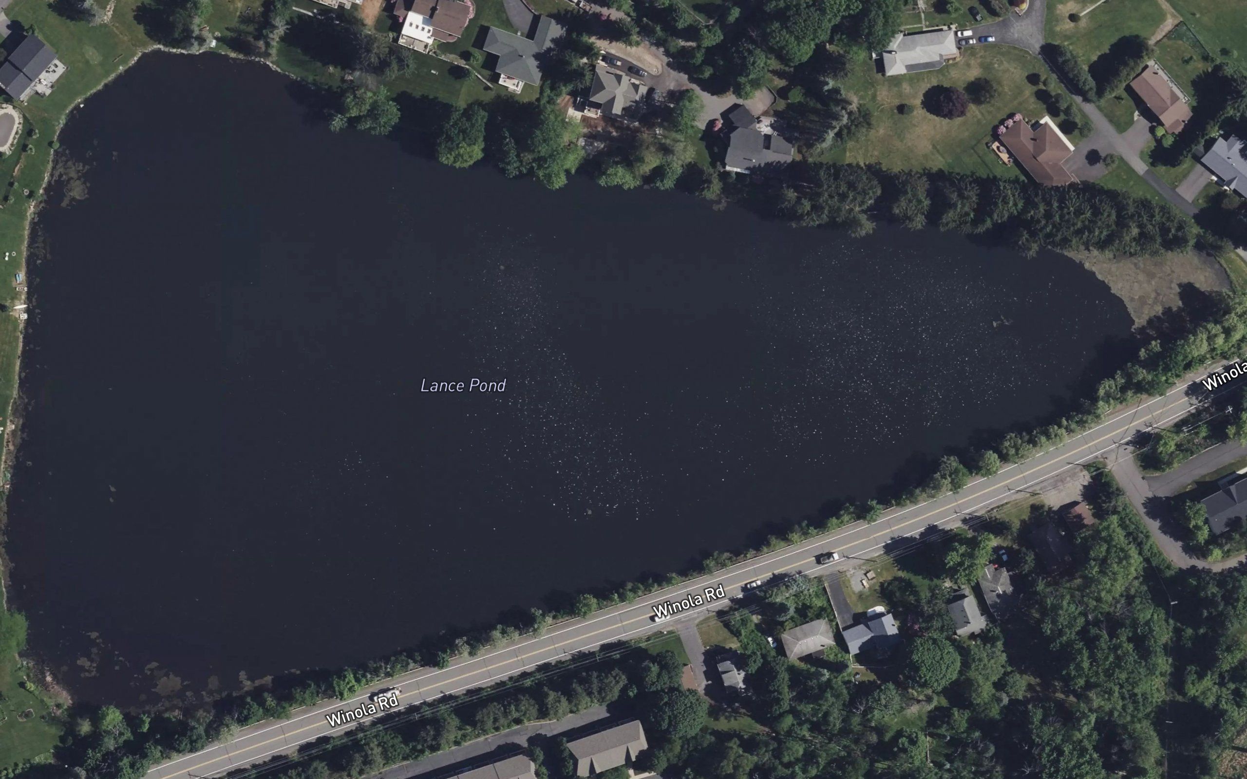 Lance Pond