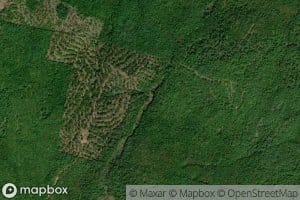 Trout Brook