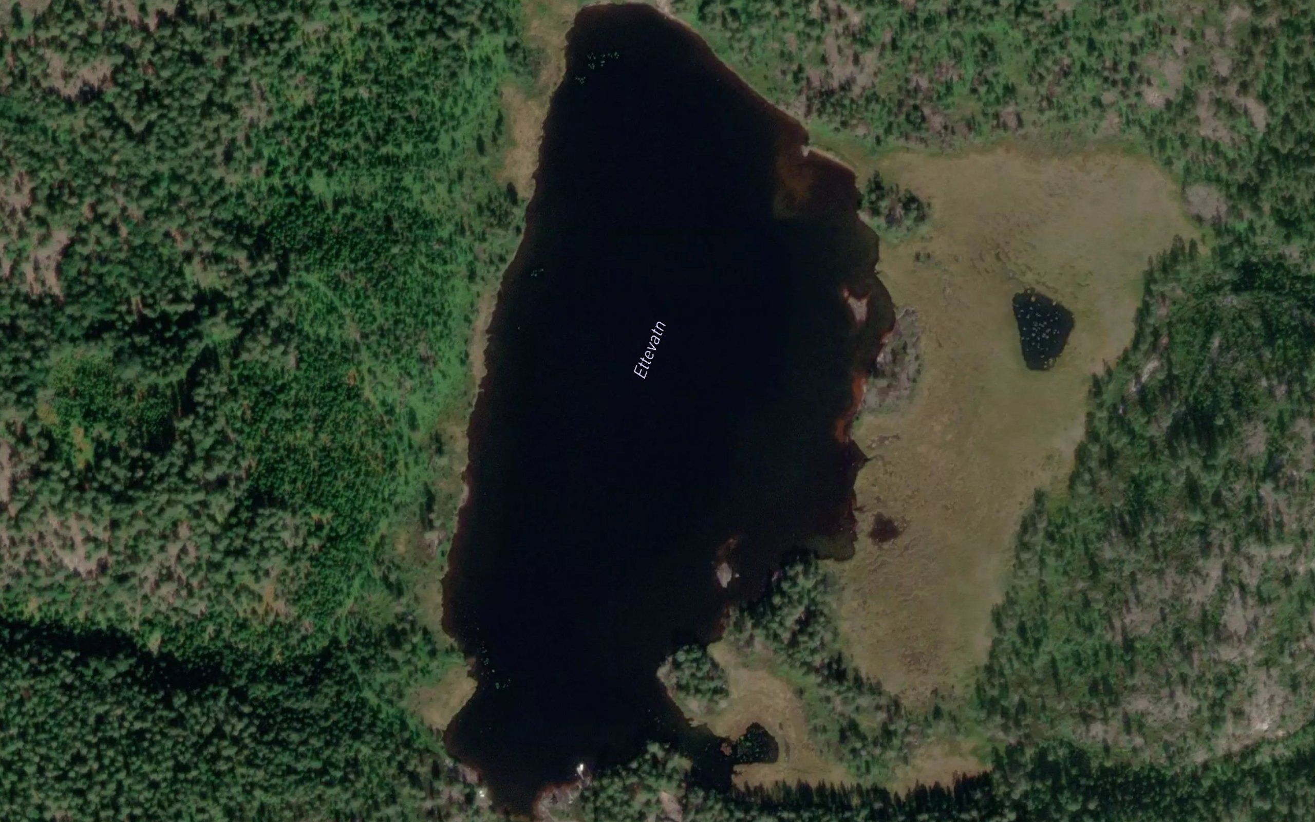 Ettevatn