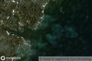 Guba Russkaya Vilovataya