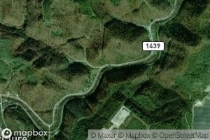 Poplar Thicket Branch