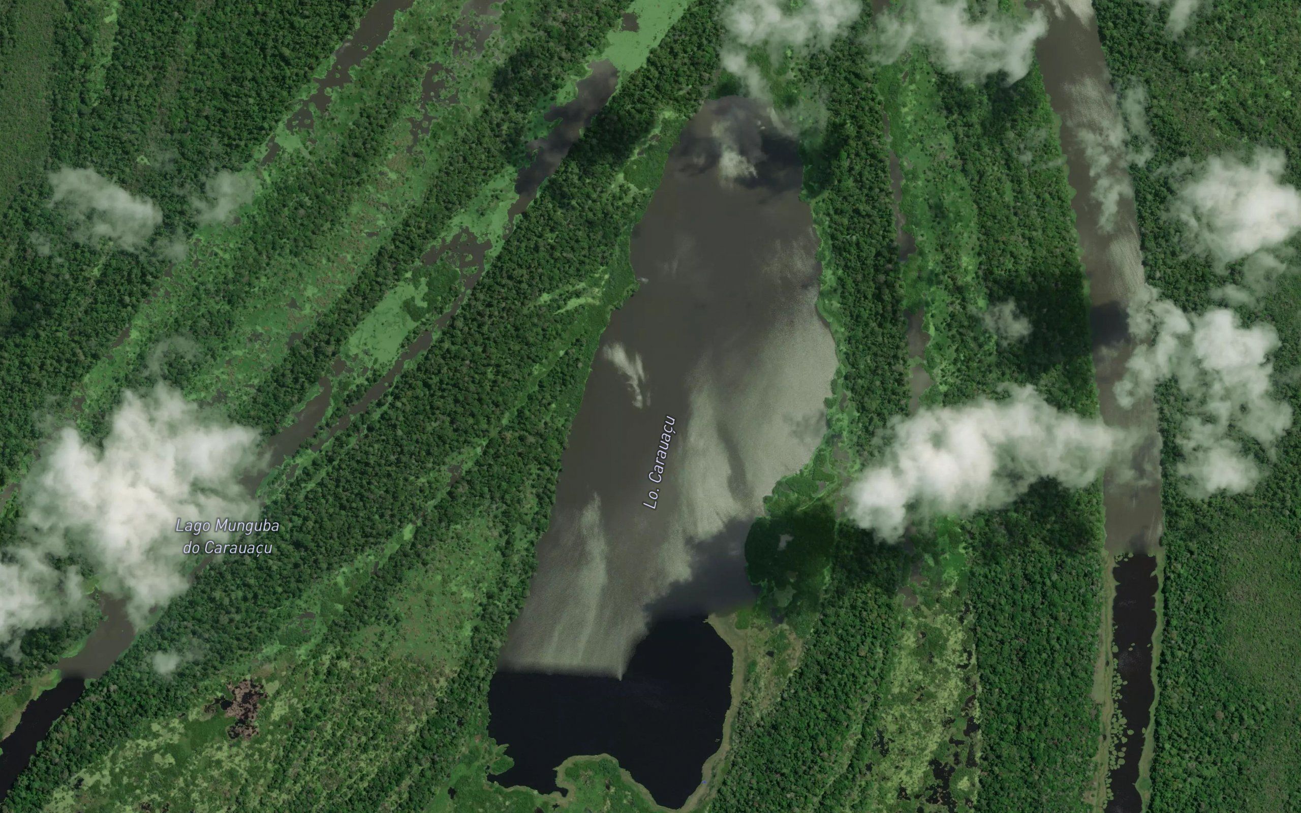 Lago Munguba do Carauacu