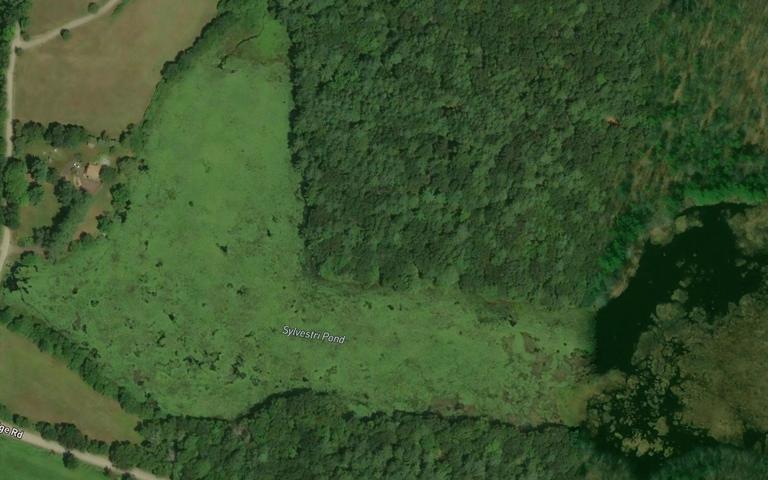 Sylvestri Pond