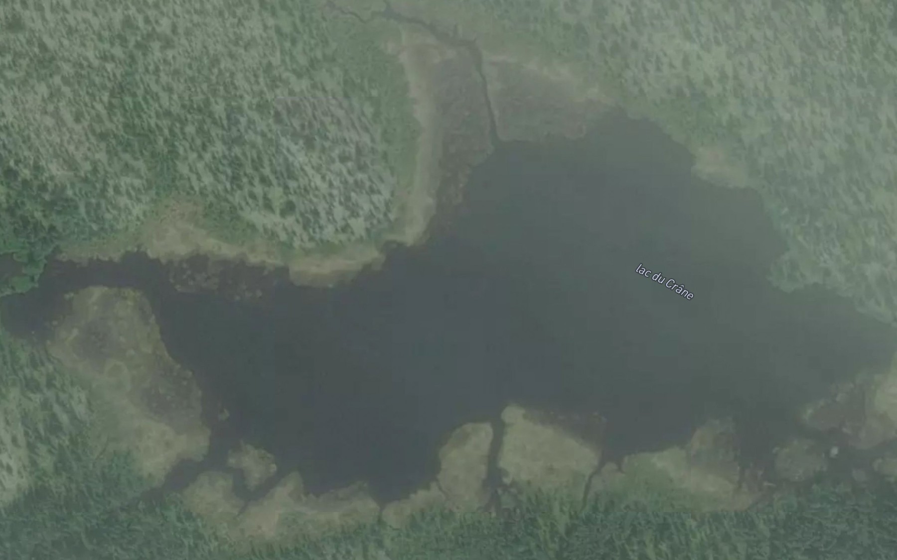 Satellite map of the Lac du Crane
