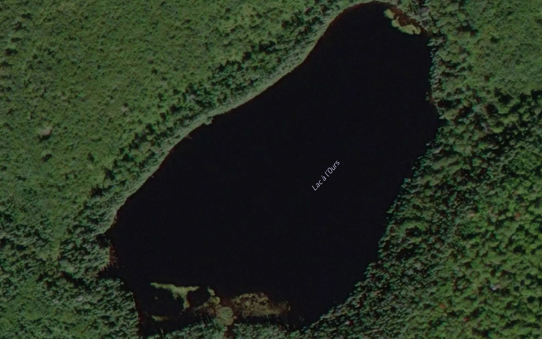 Satellite map of the Lac a l'Ours