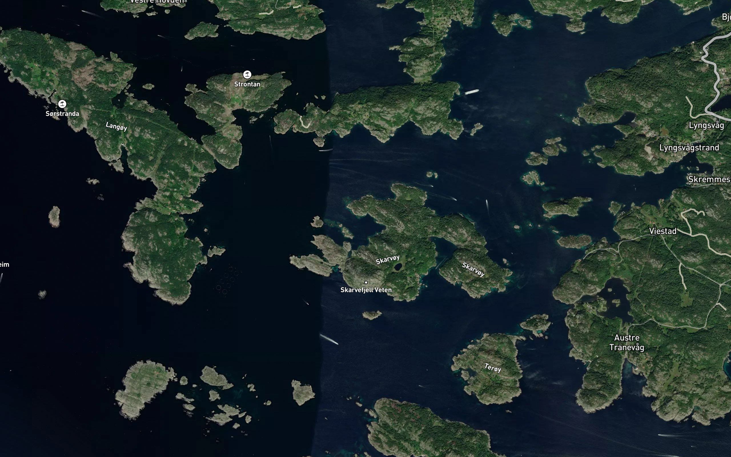 Dalibukta