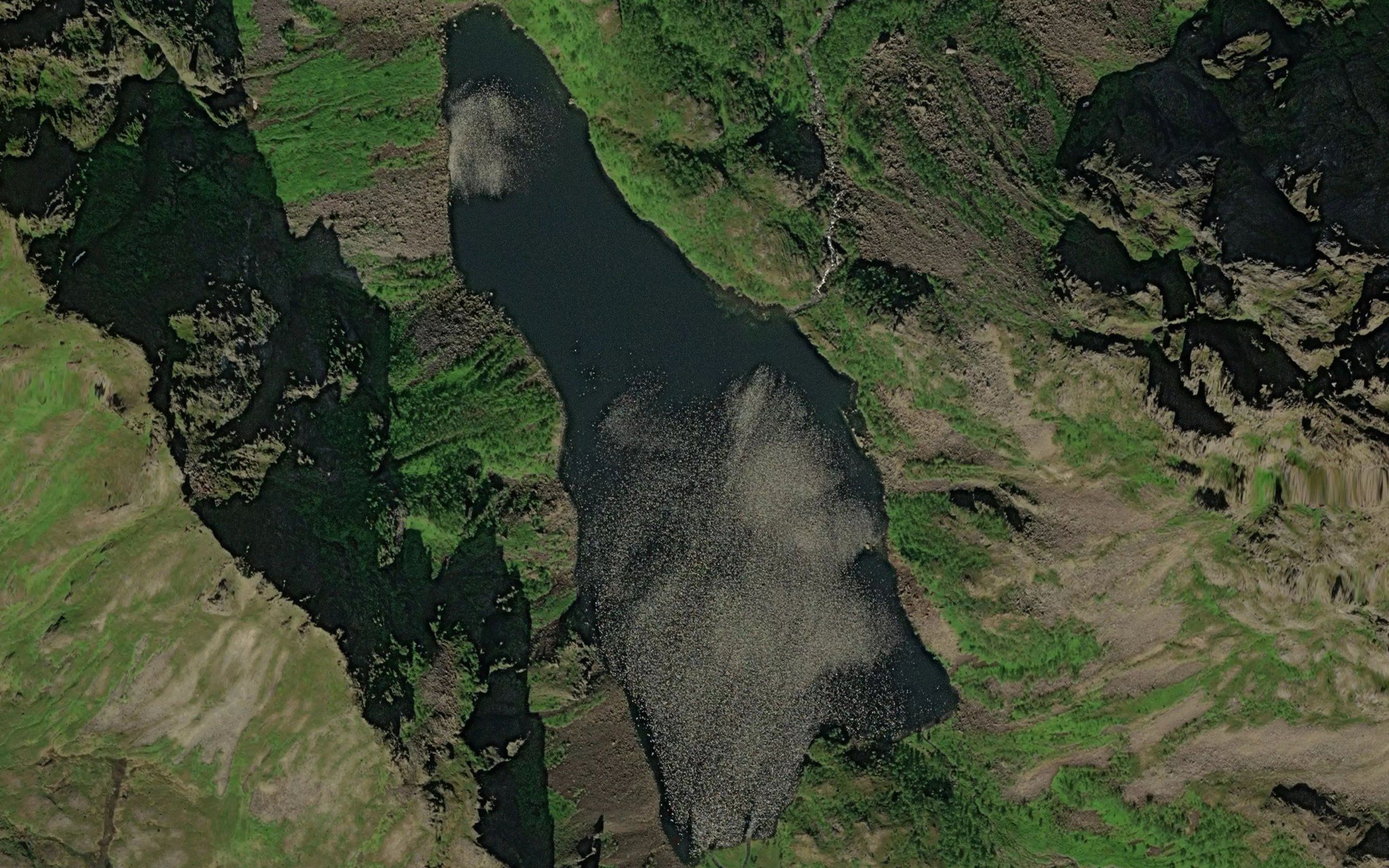 Purkvatnet