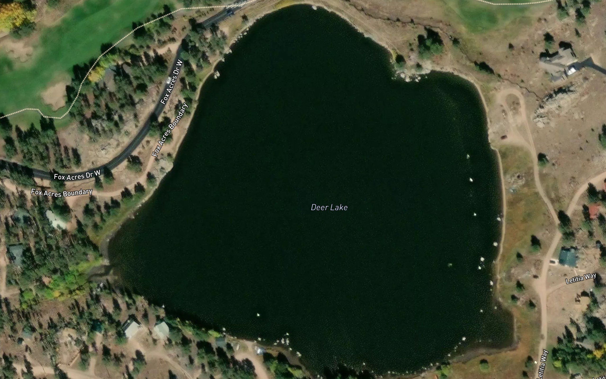 Letitia Lake