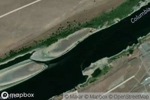 Coyote Rapids