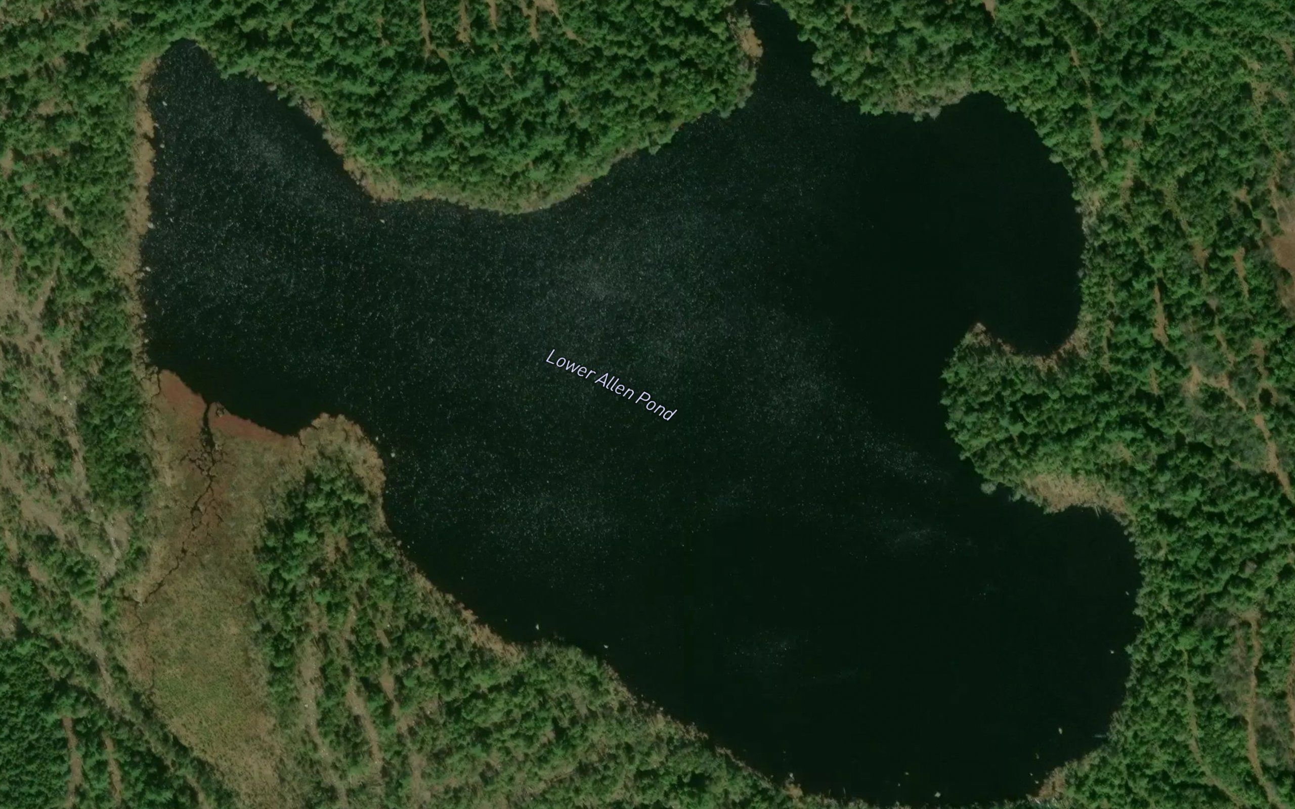 Lower Allen Pond
