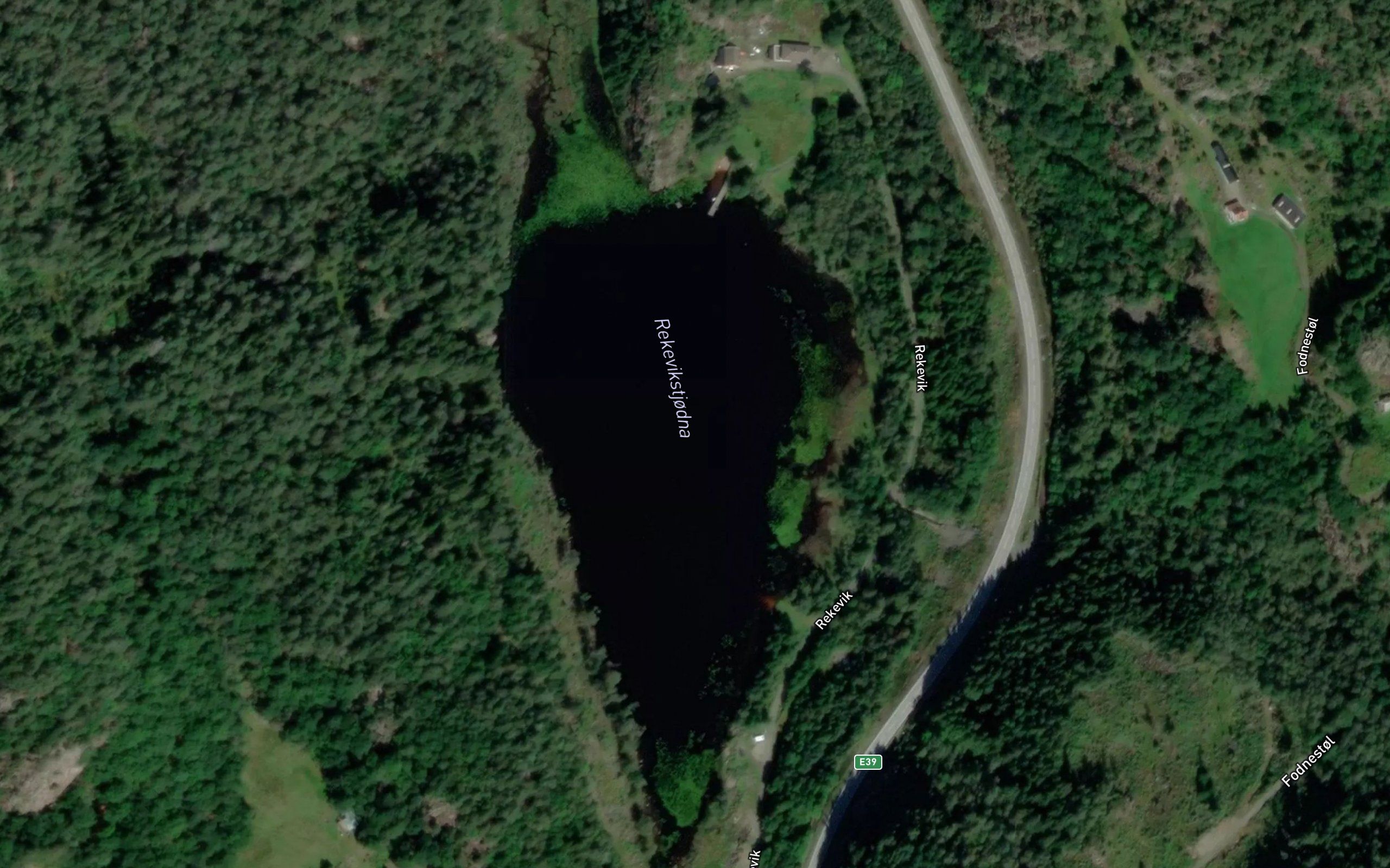 Rekevikstjodna