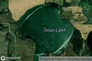 Swan Lake