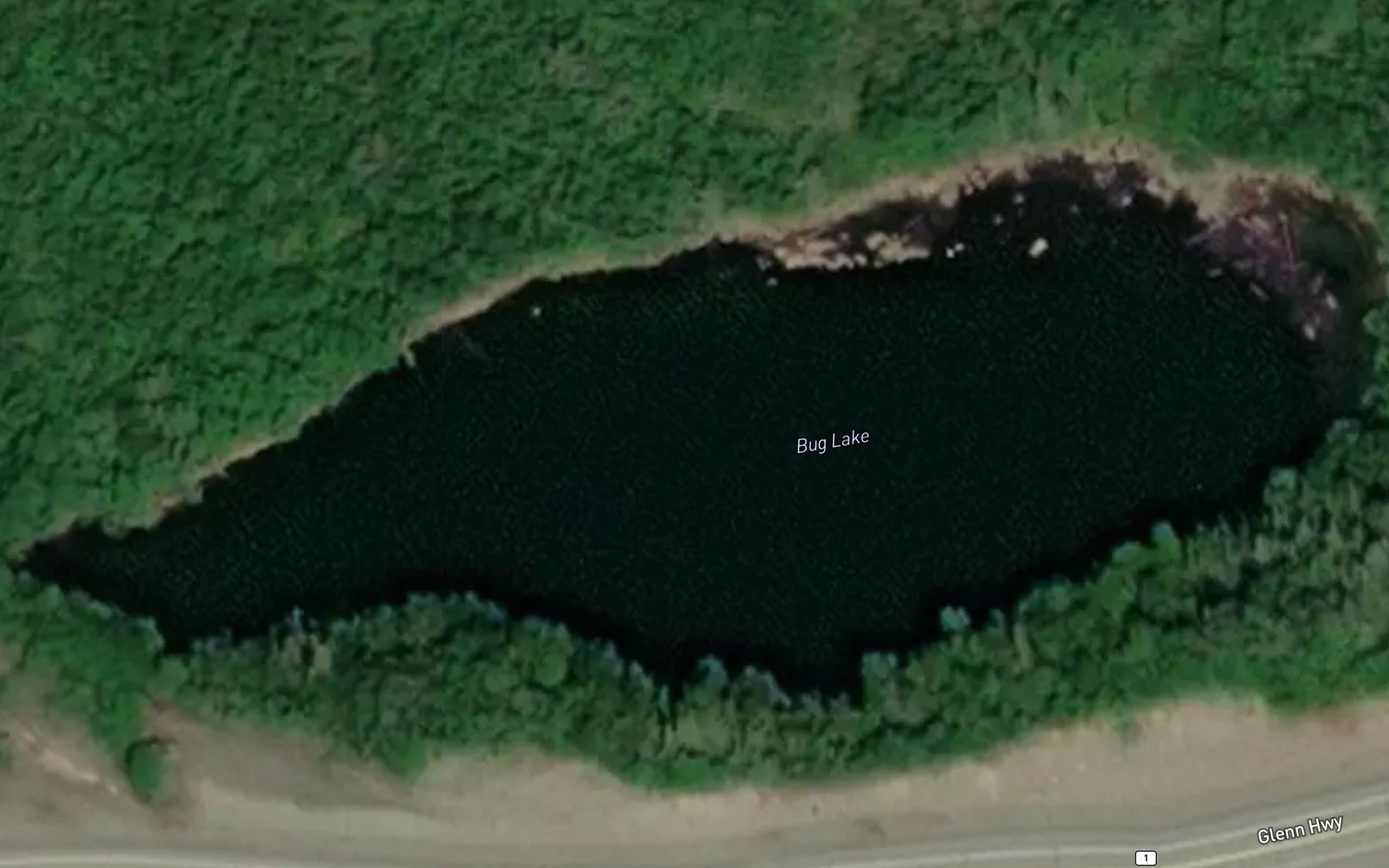 Satellite map of the Bug Lake