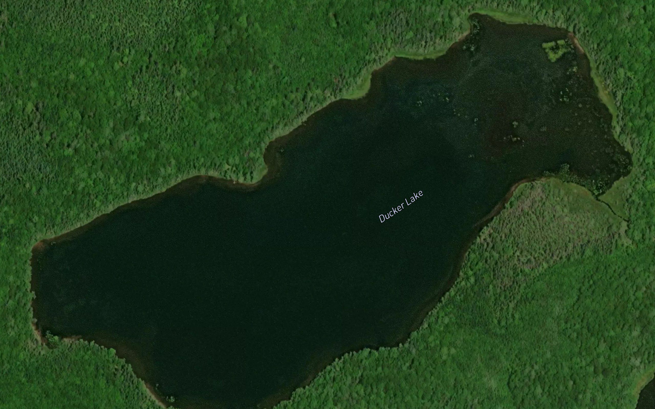 Ducker Lake