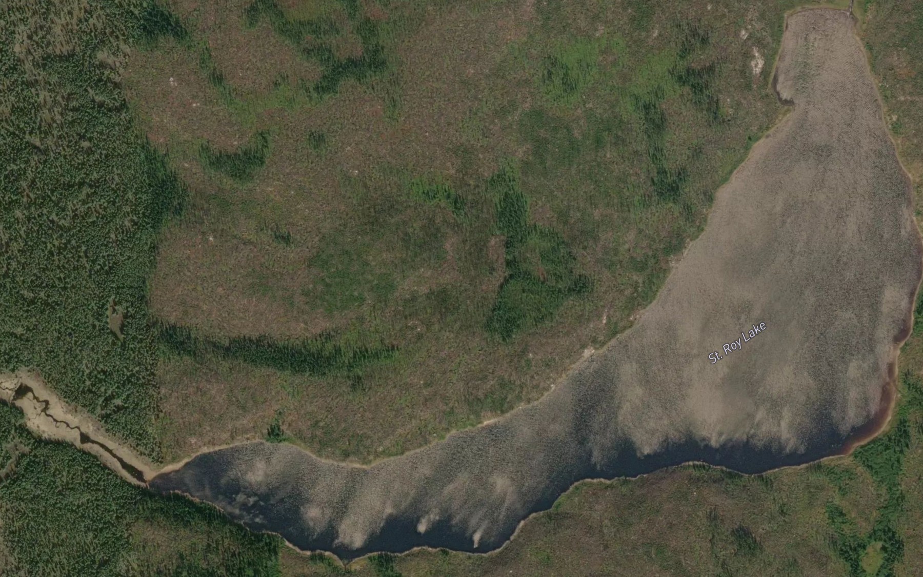 Satellite map of the St. Roy Lake