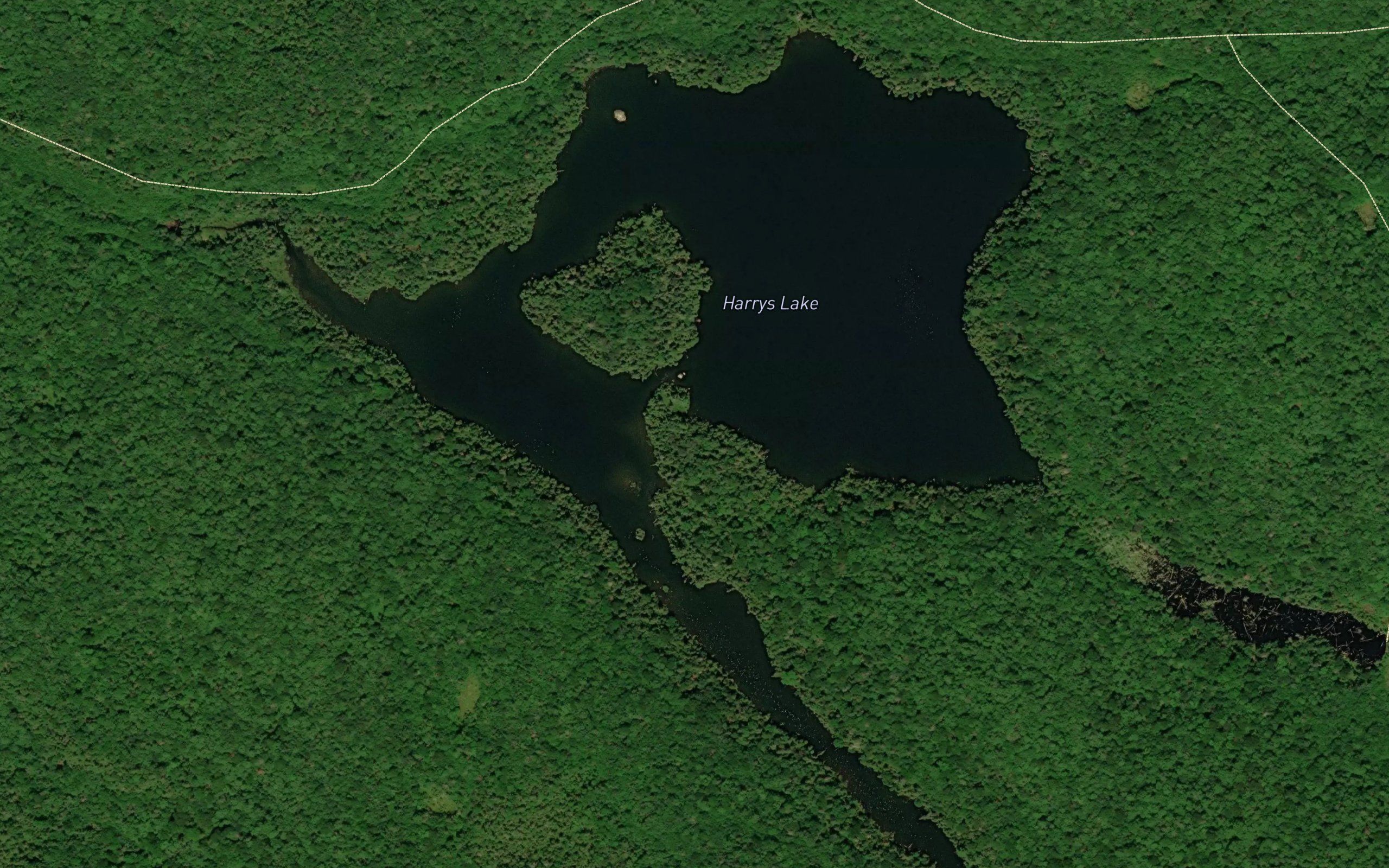 Harrys Lake