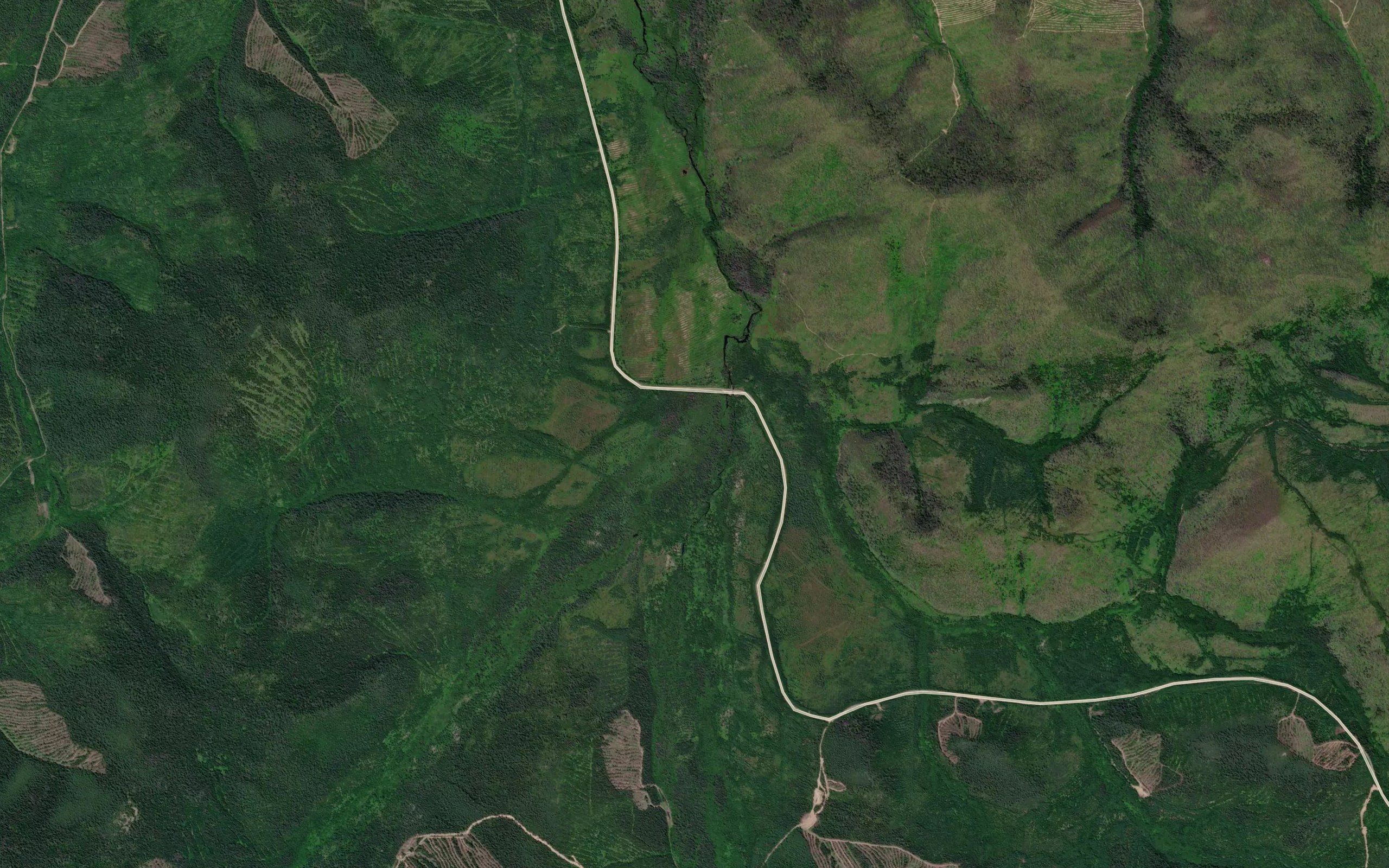 Levyy Podgornyy