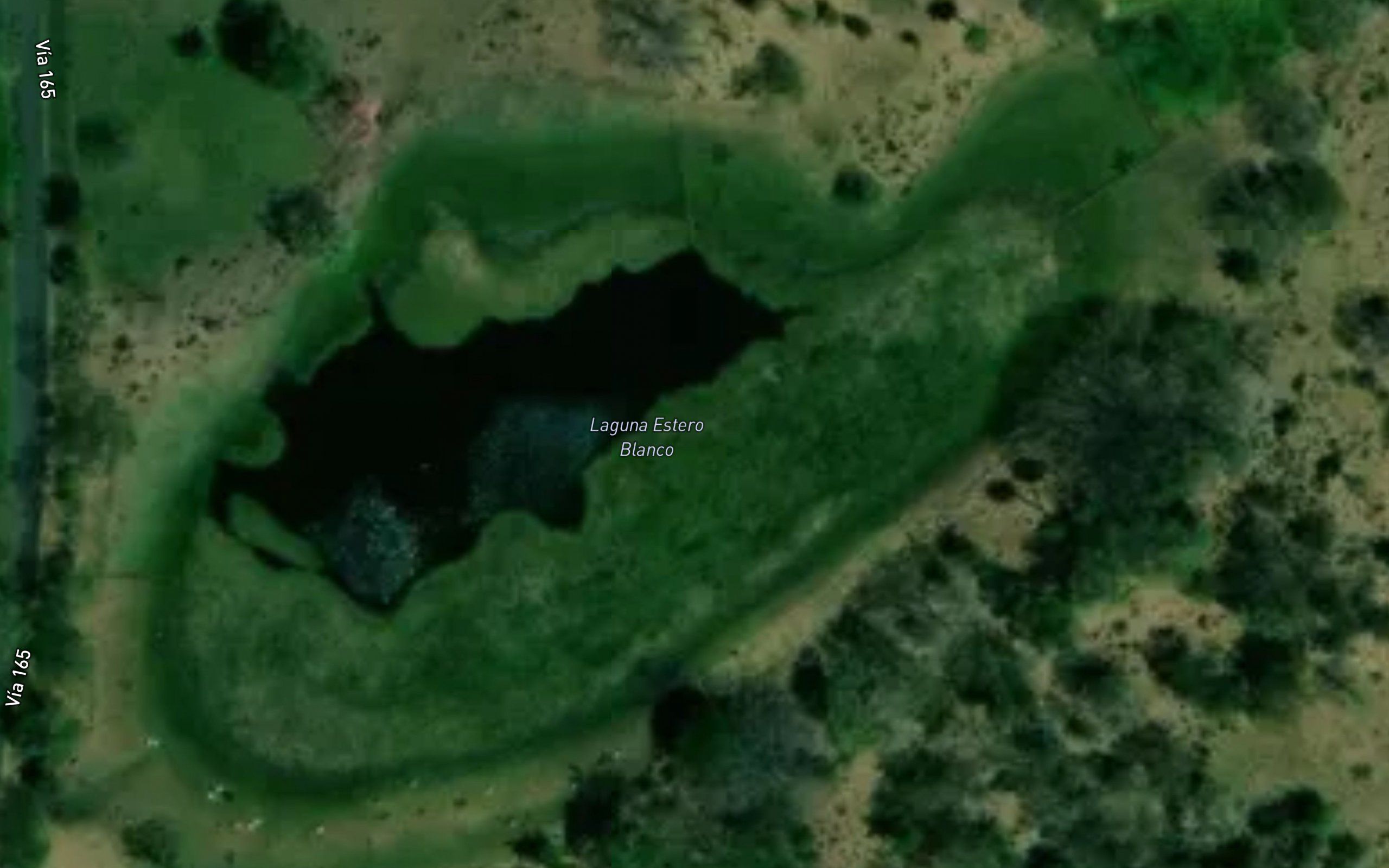 Laguna Estero Blanco