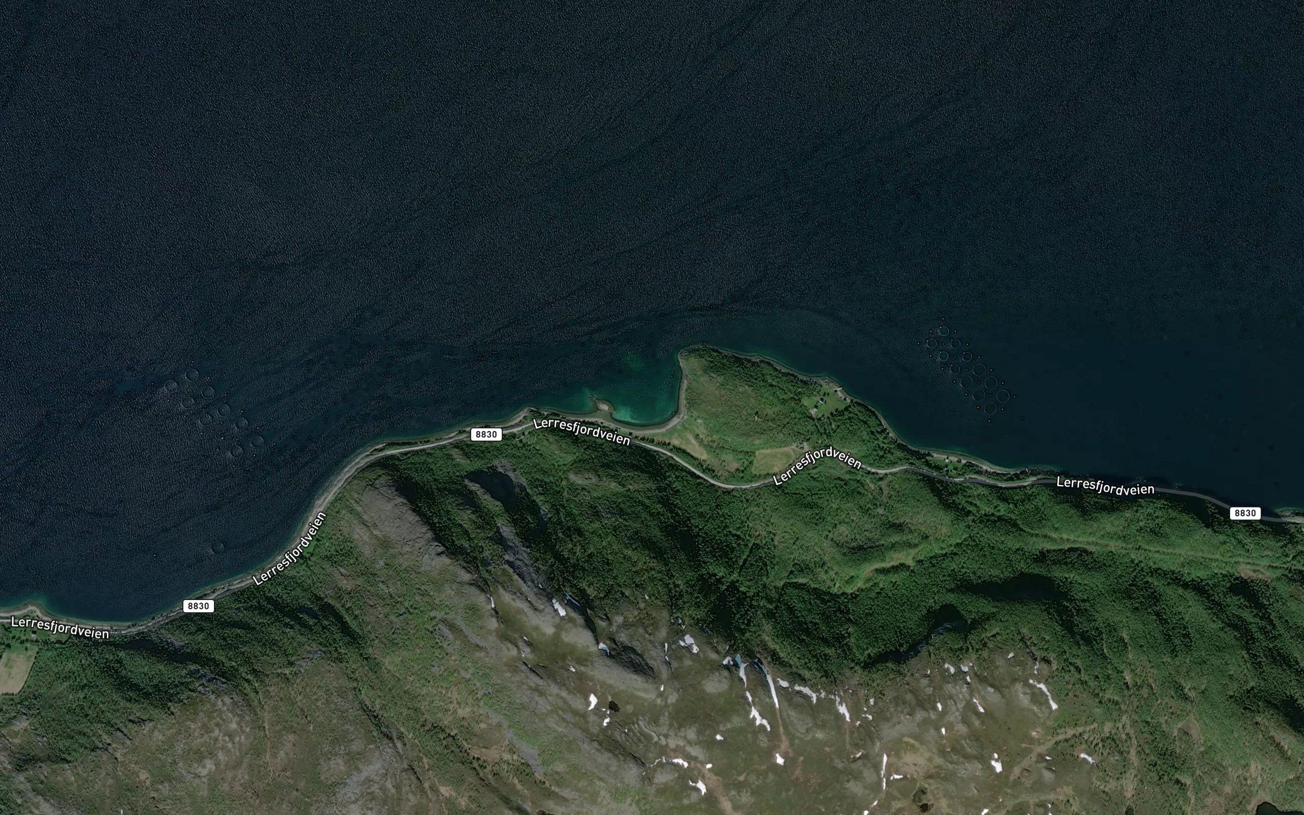 Sommarbukt