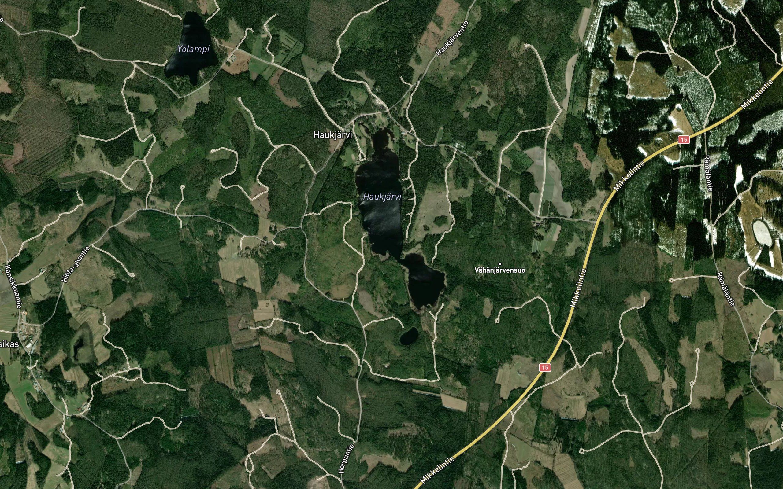 Salmensuu