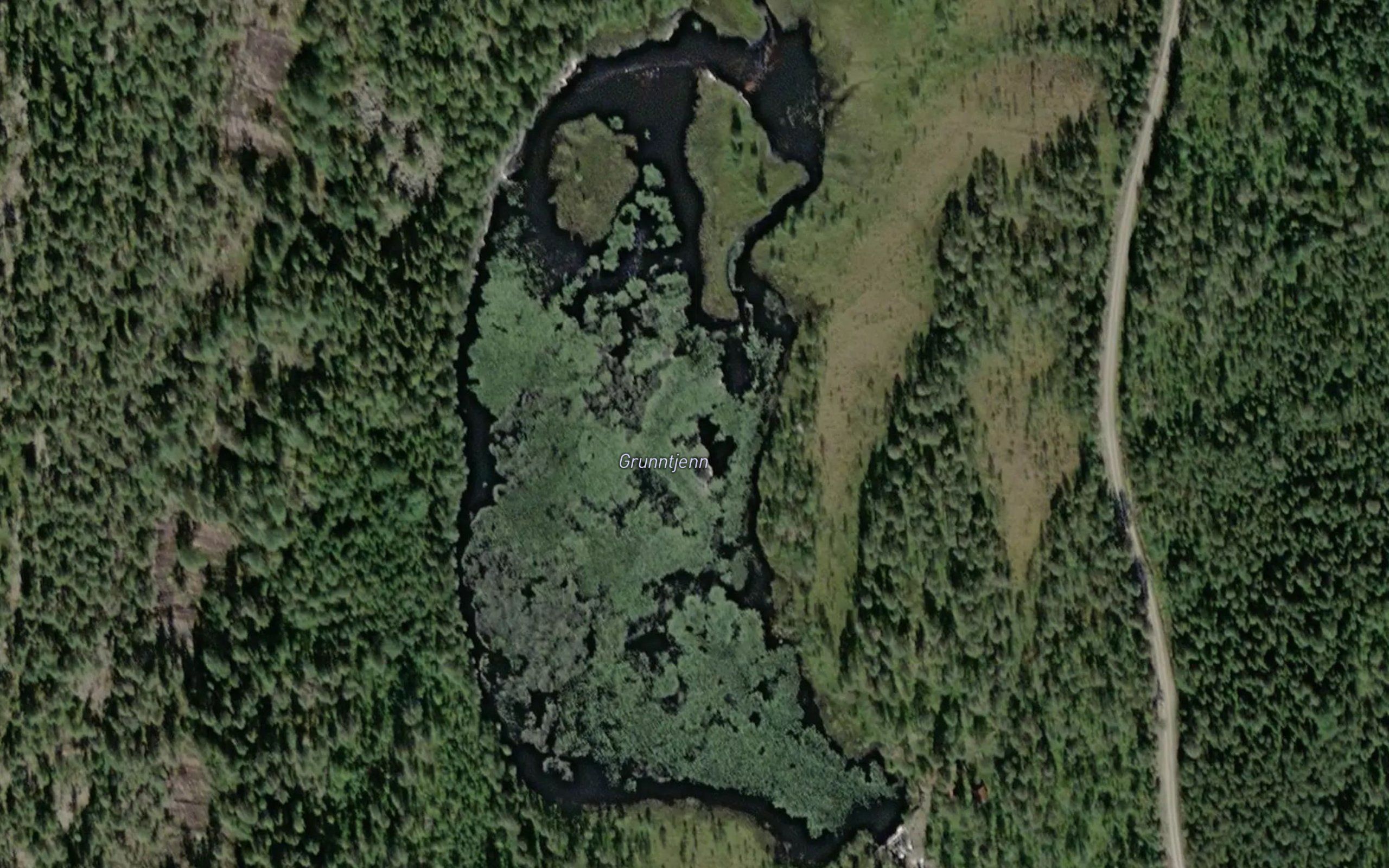 Grunntjern