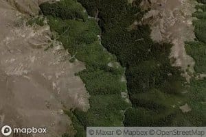 Laurie Stream