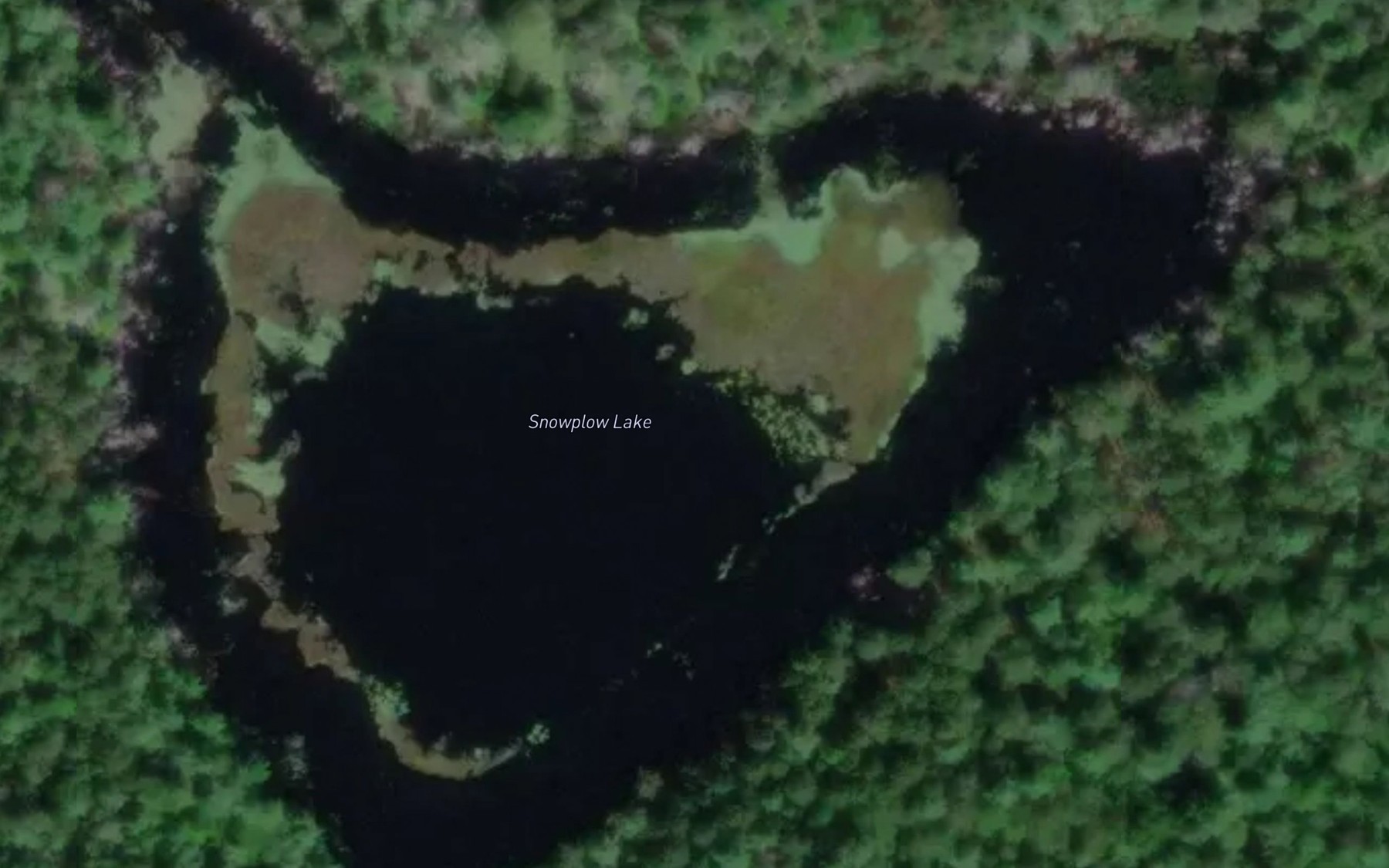 Satellite map of the Snowplow Lake