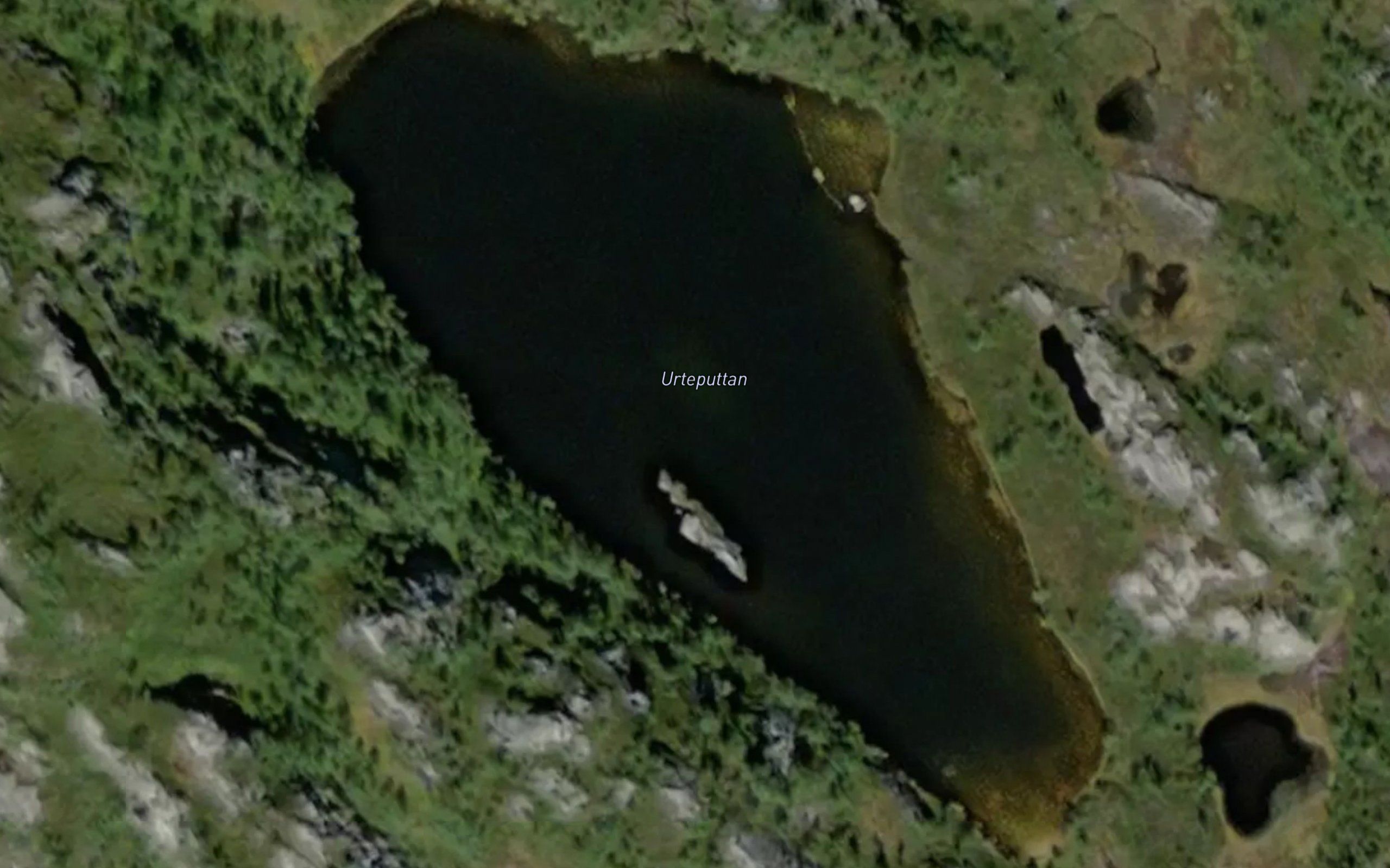 Urteputtan
