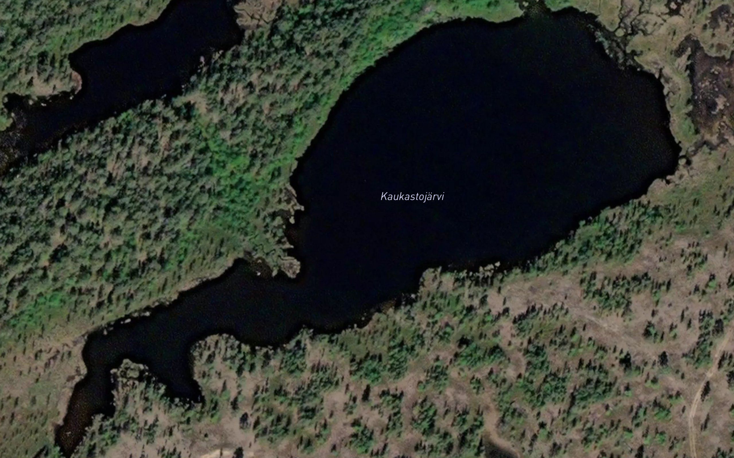 Kavgastohjavri