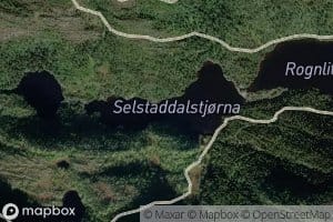 Selstaddalstjorna