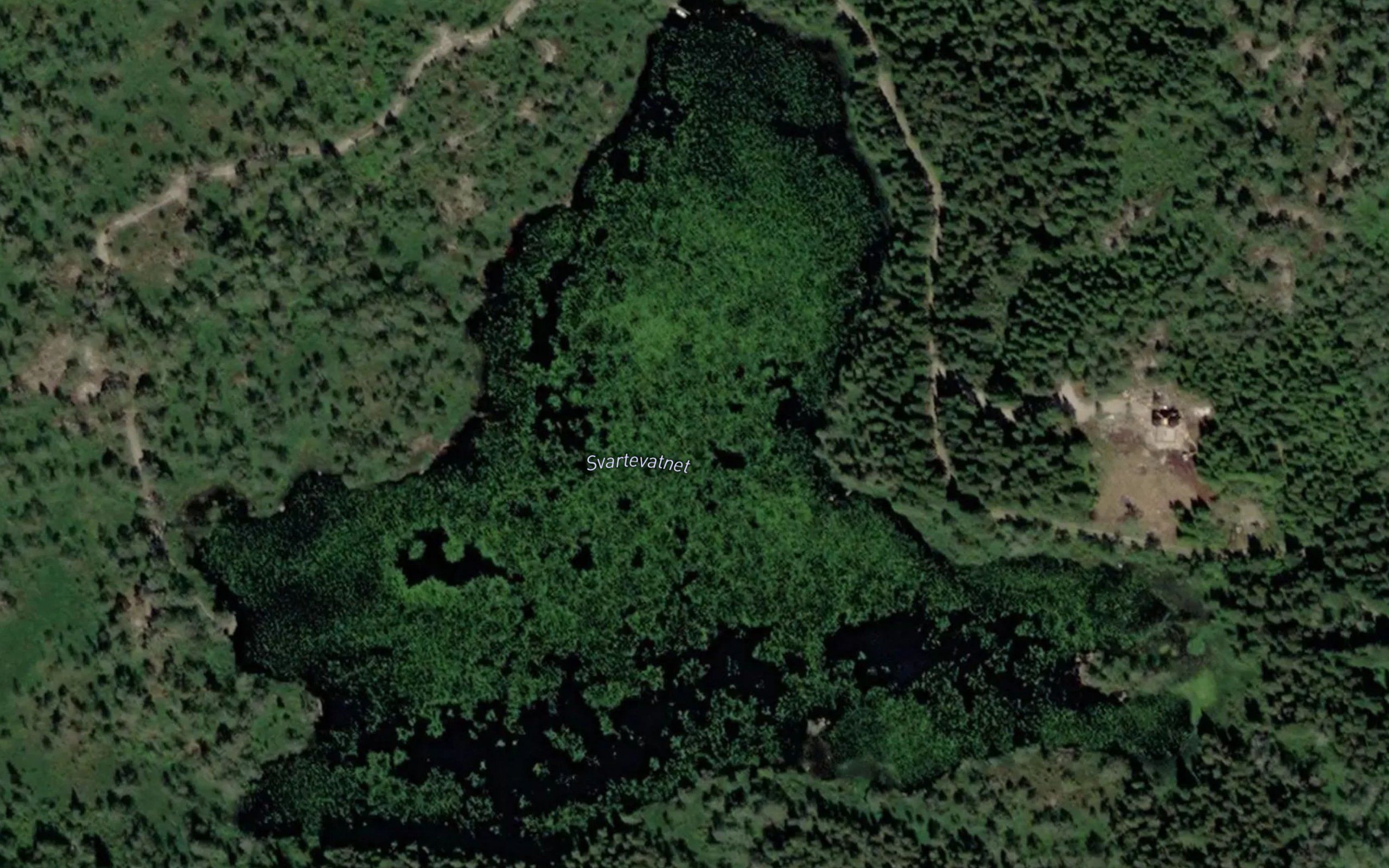 Svartevatnet