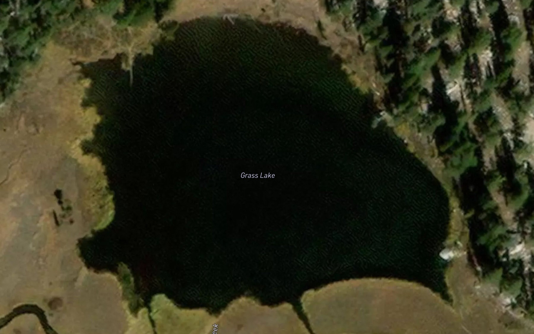 Satellite map of the Grass Lake