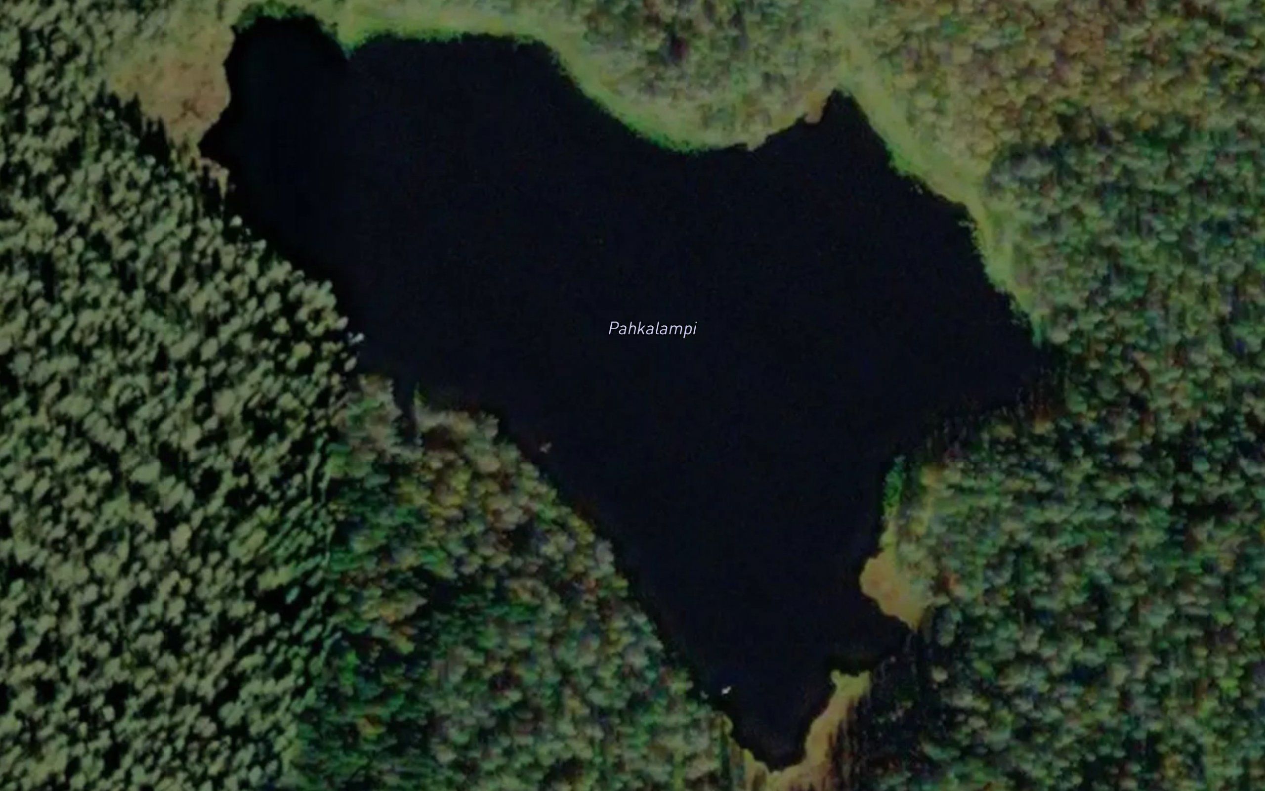 Pahkalammi