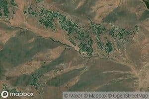 Bridger Spring