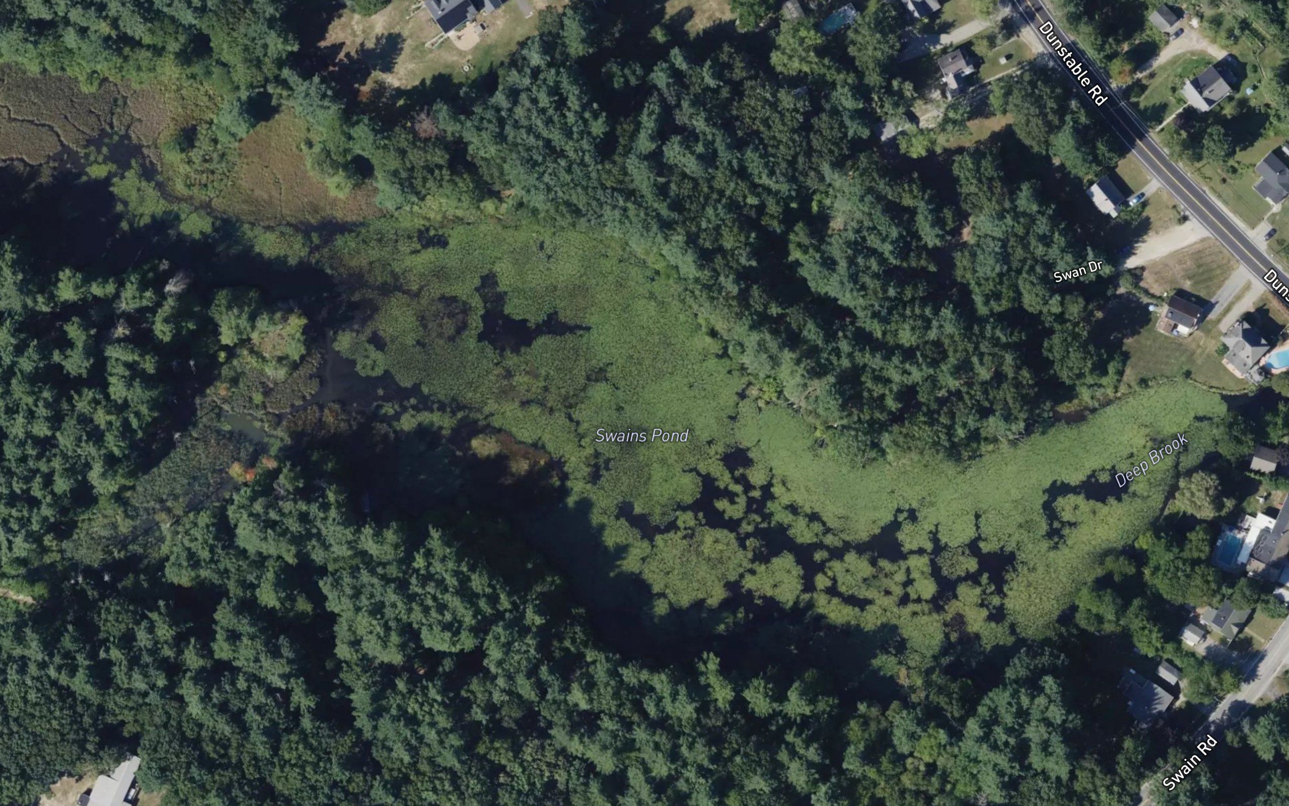 Swains Pond