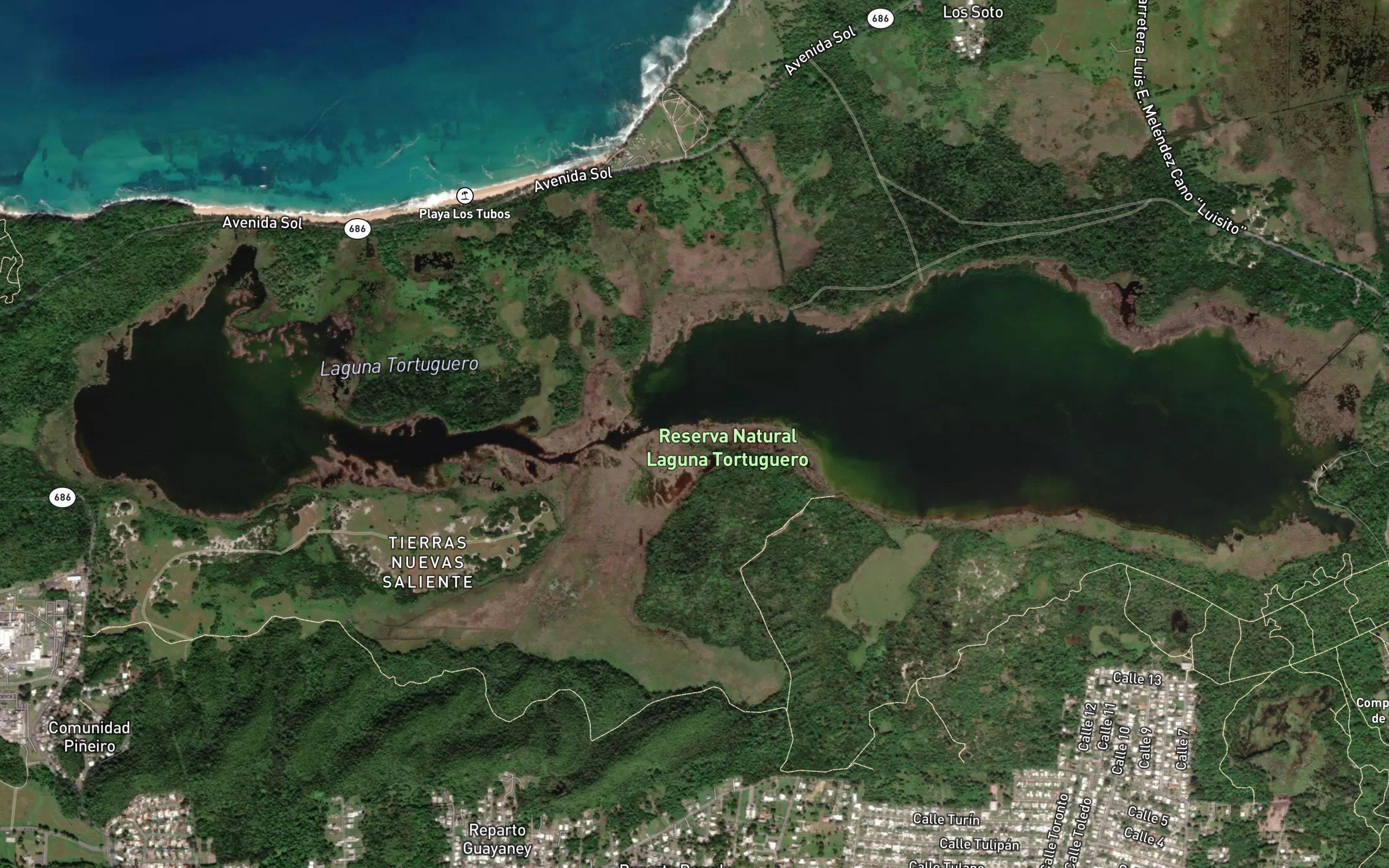 Laguna Tortuguero