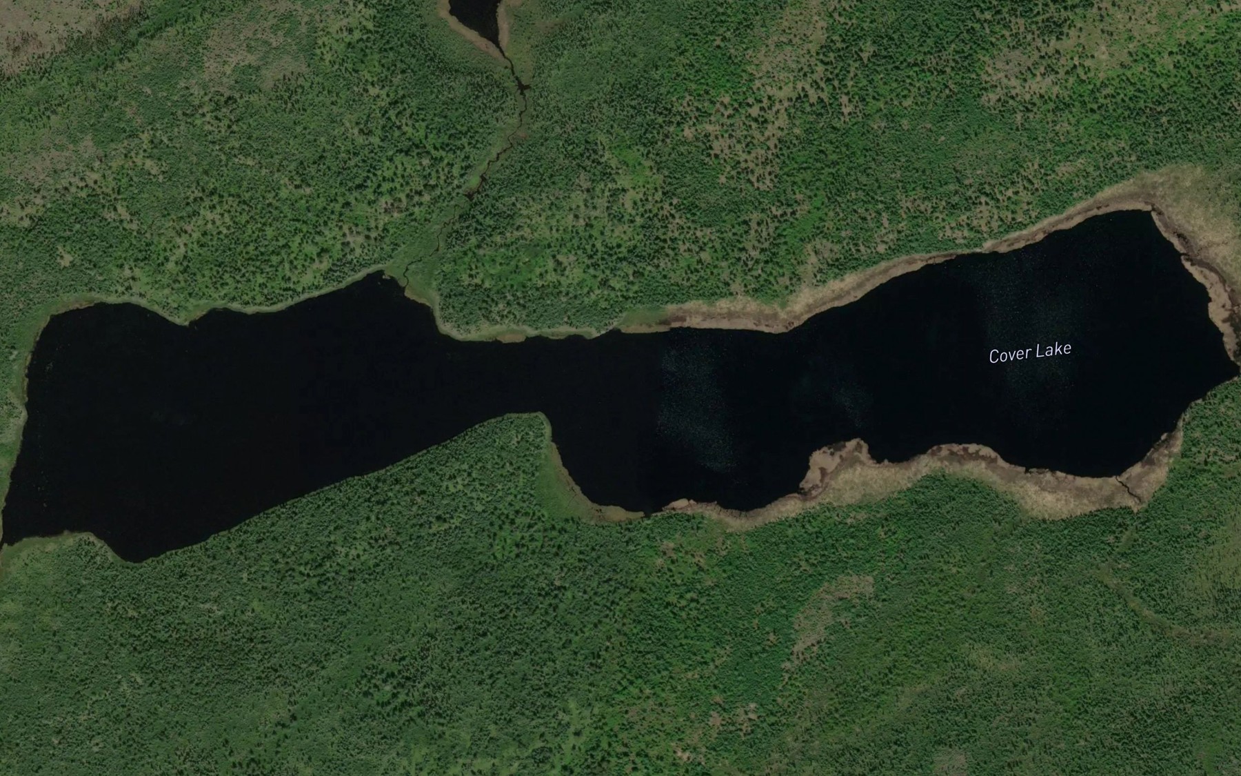 Satellite map of the Cover Lake