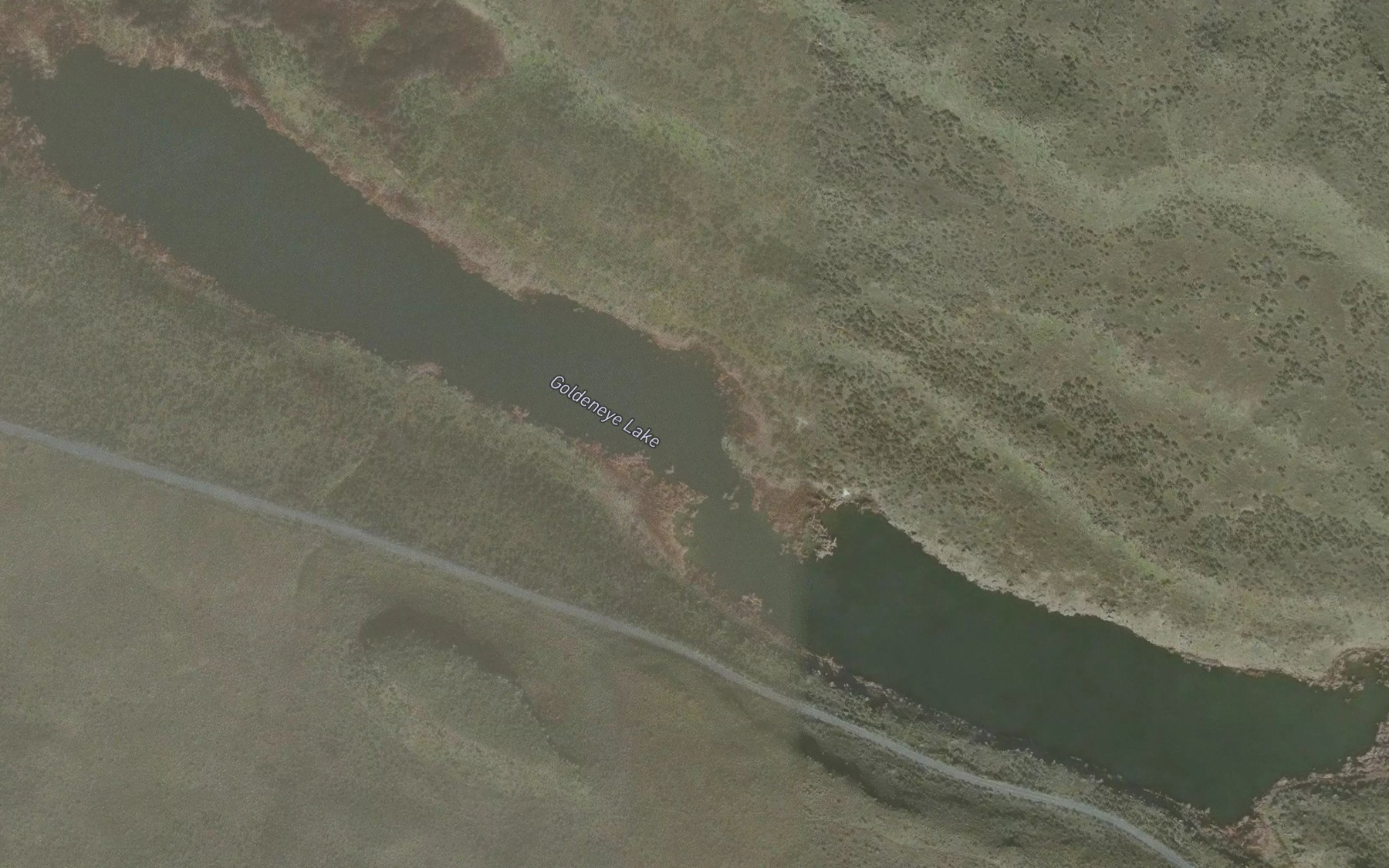 Satellite map of the Goldeneye Lake