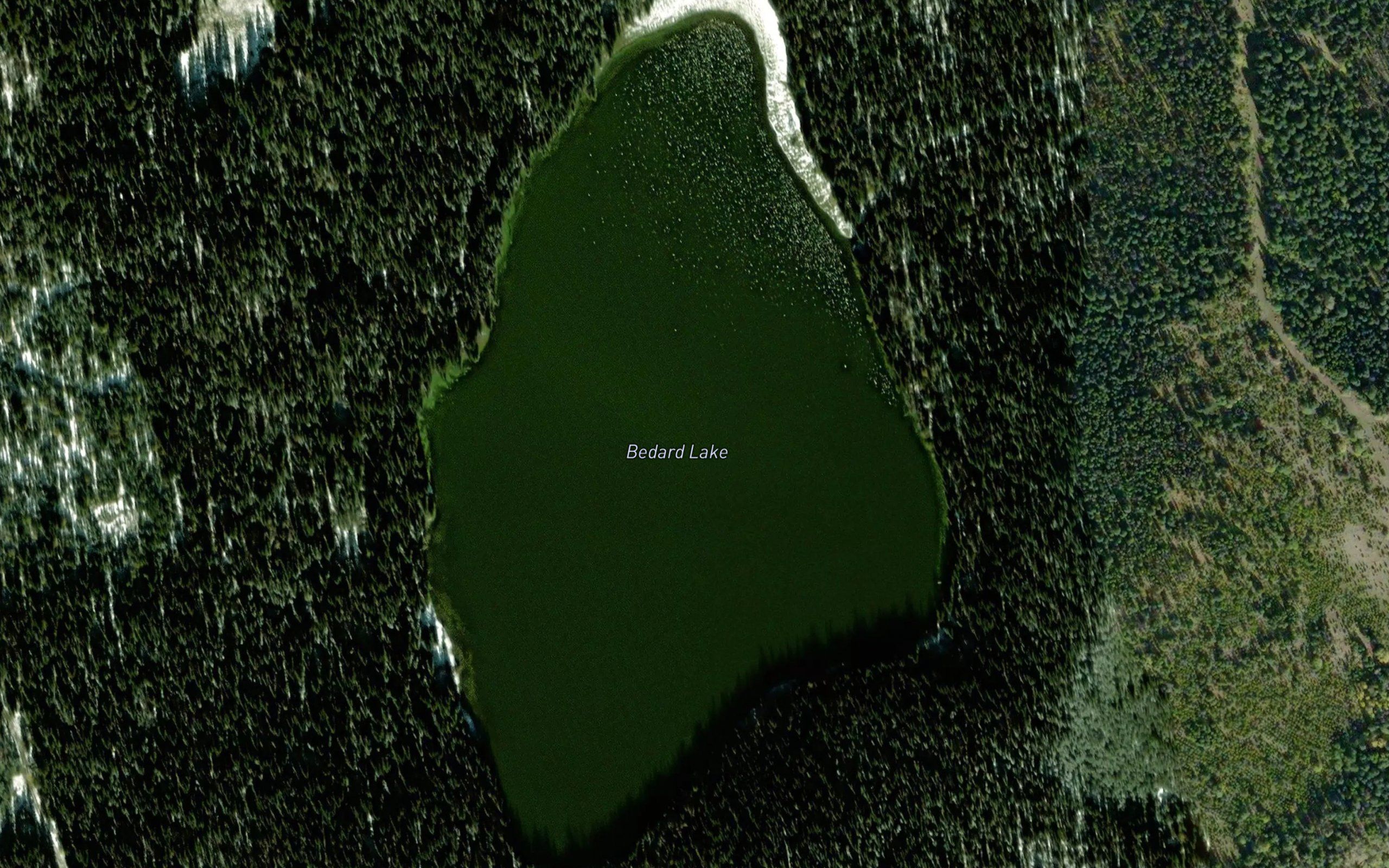 Bedard Lake