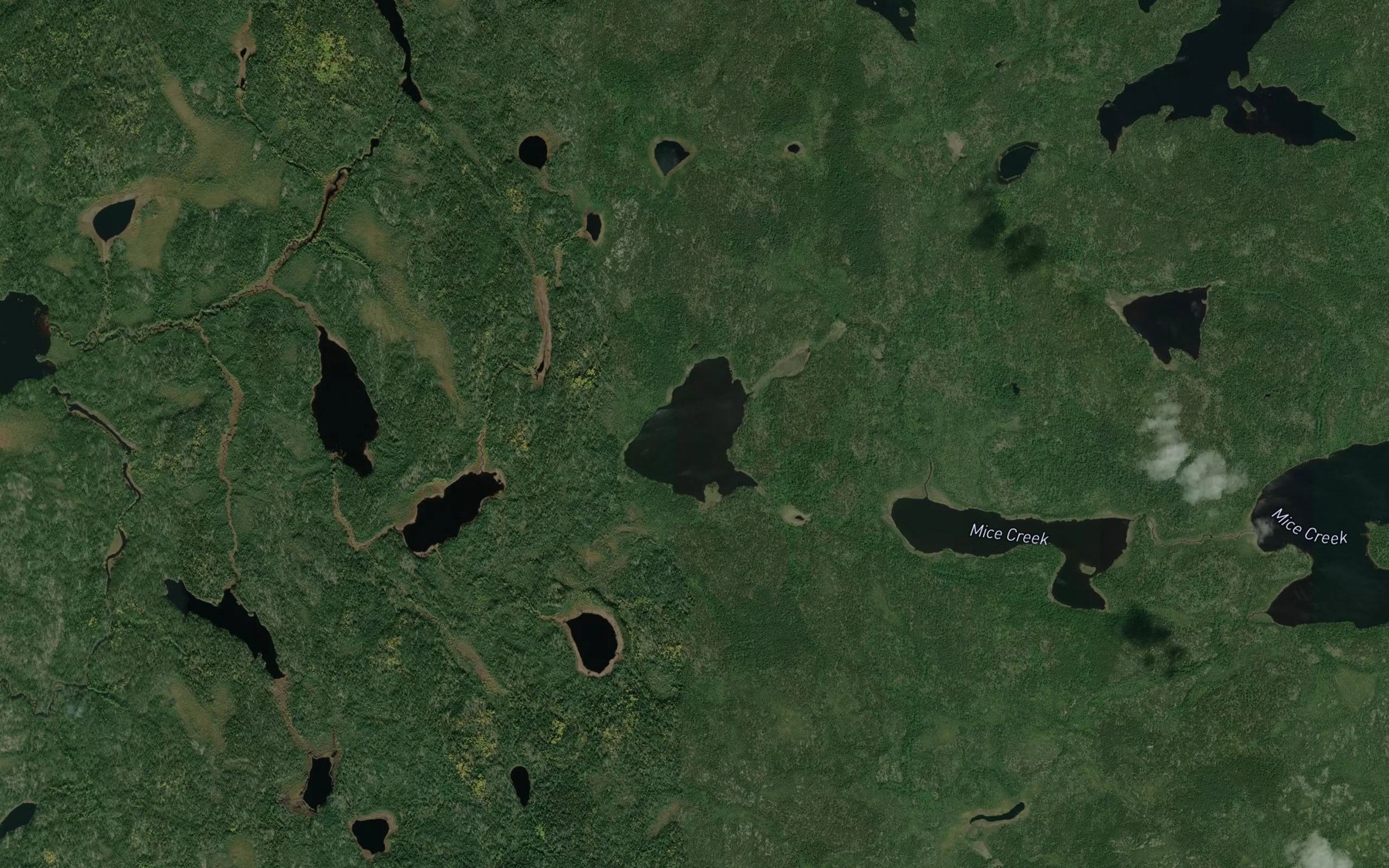 Satellite map of the Mice Lake