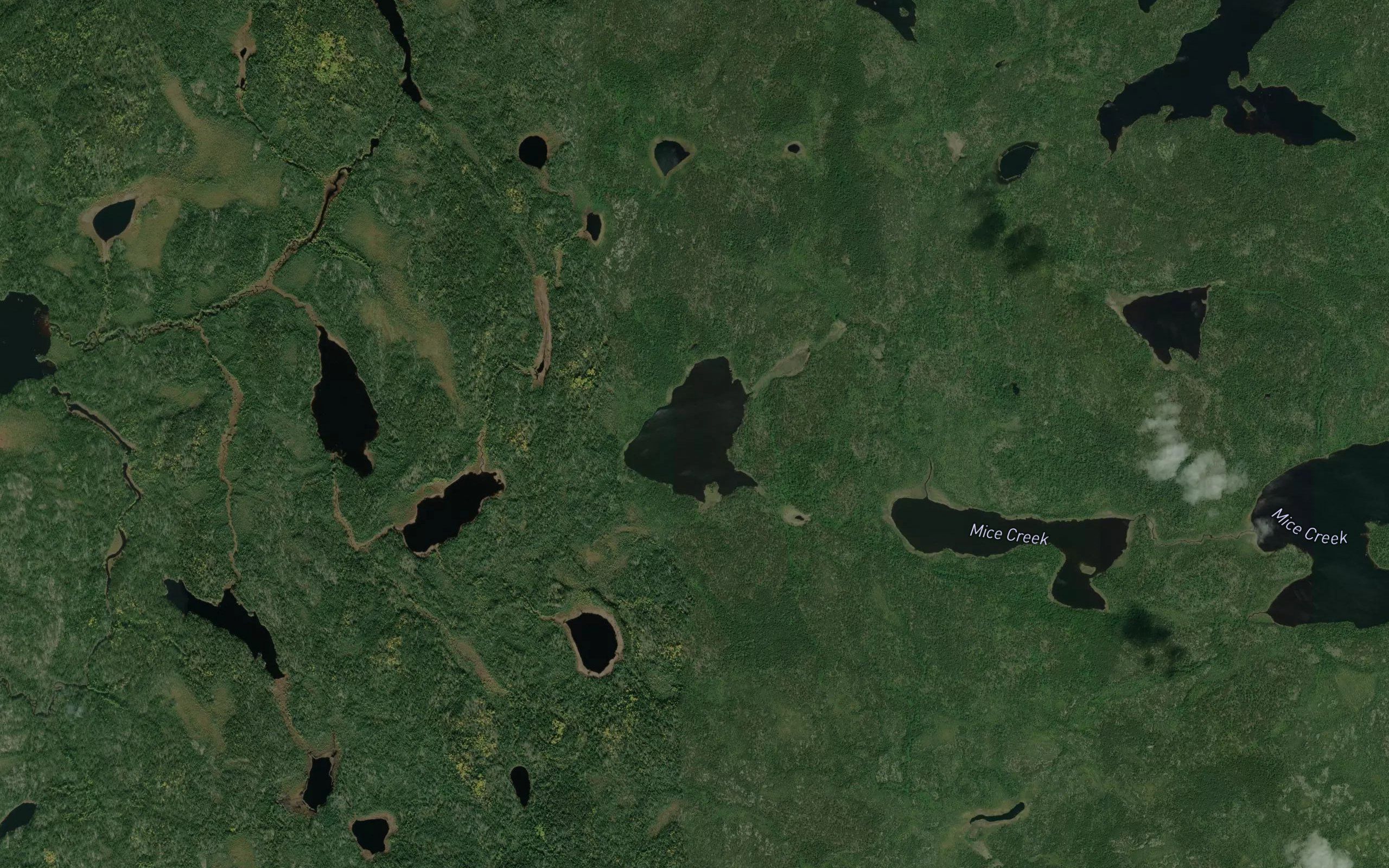Mice Lake