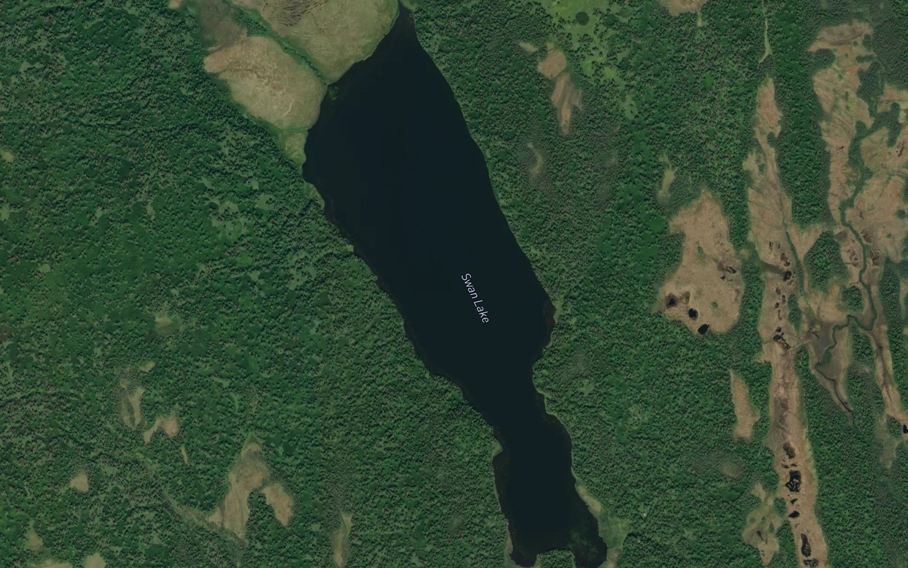 Satellite map of the Swan Lake