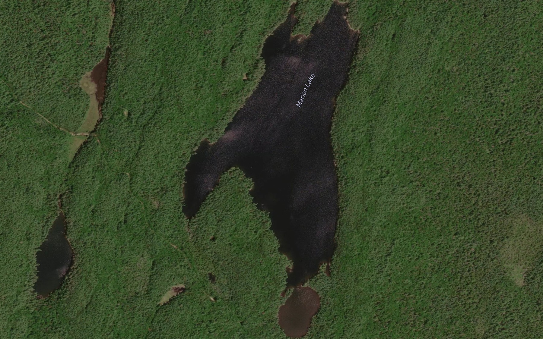 Satellite map of the Marion Lake