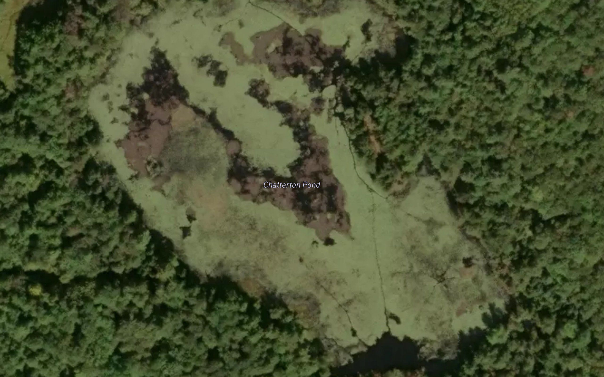 Chatterton Pond