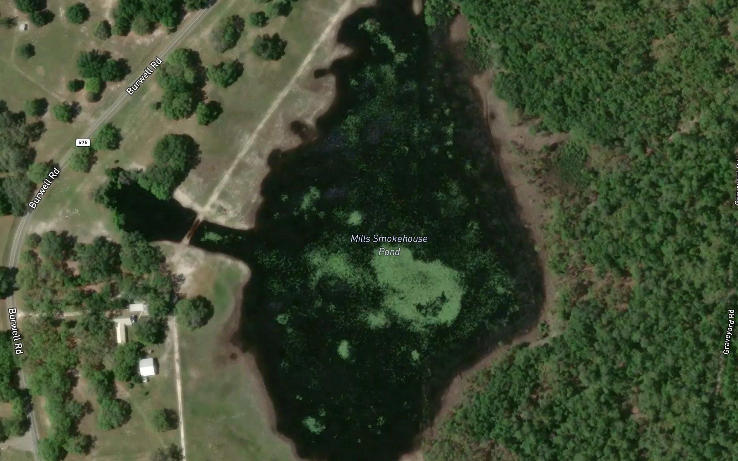 Mills Smokehouse Pond