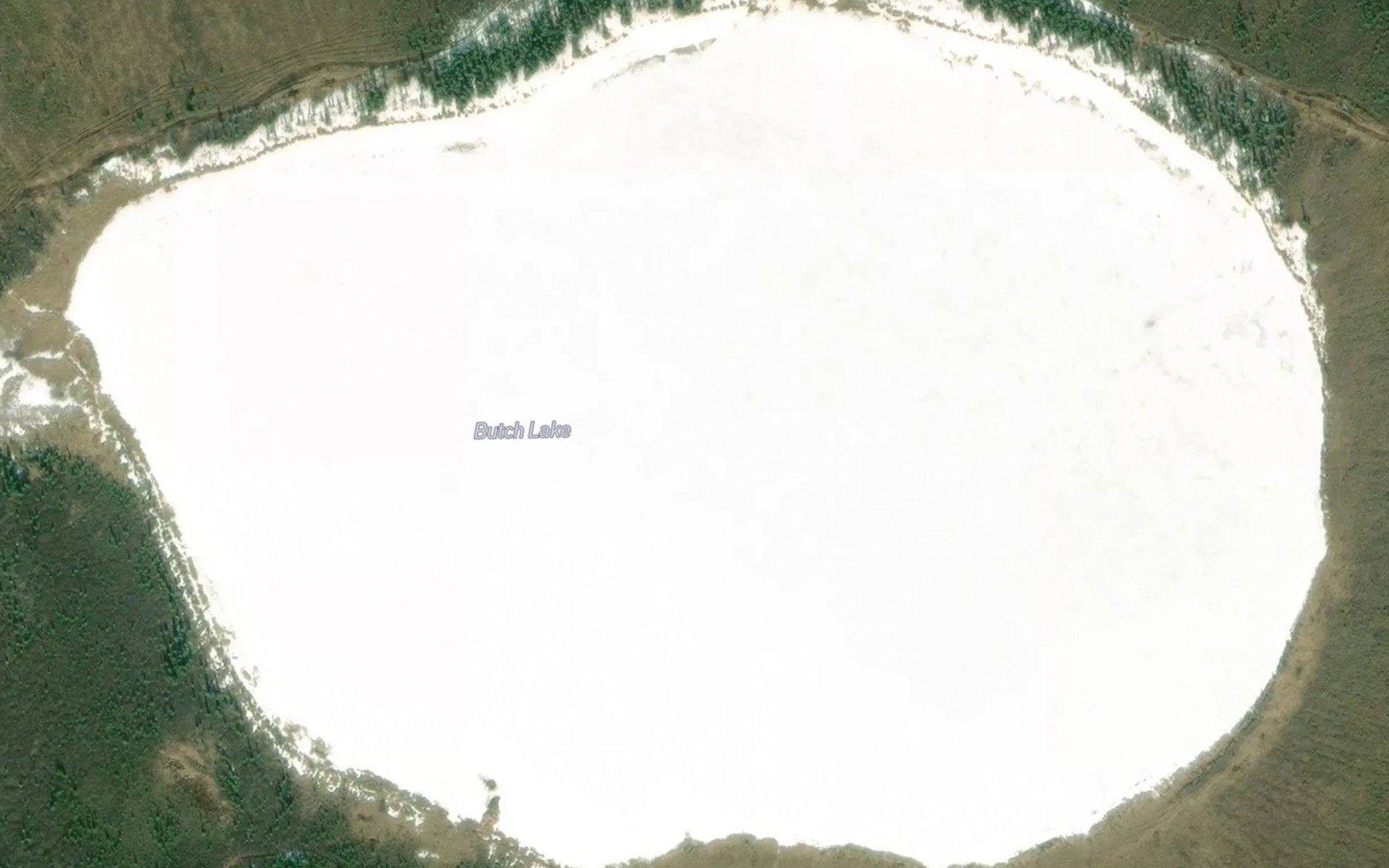 Satellite map of the Butch Lake