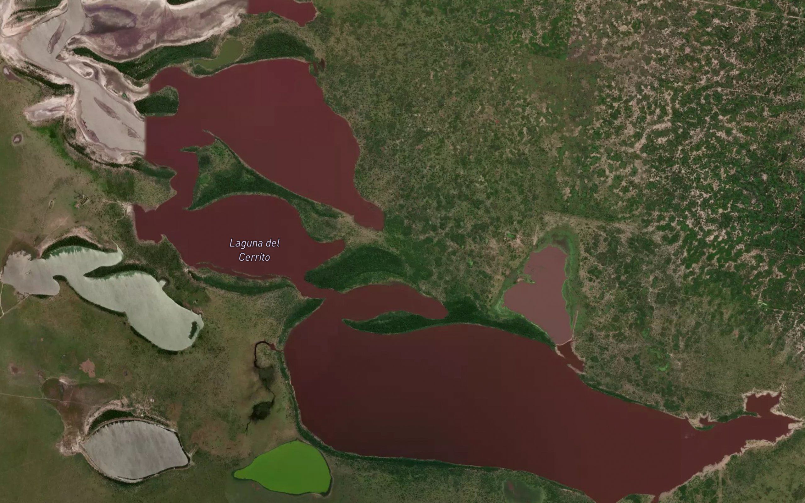 Laguna del Cerrito