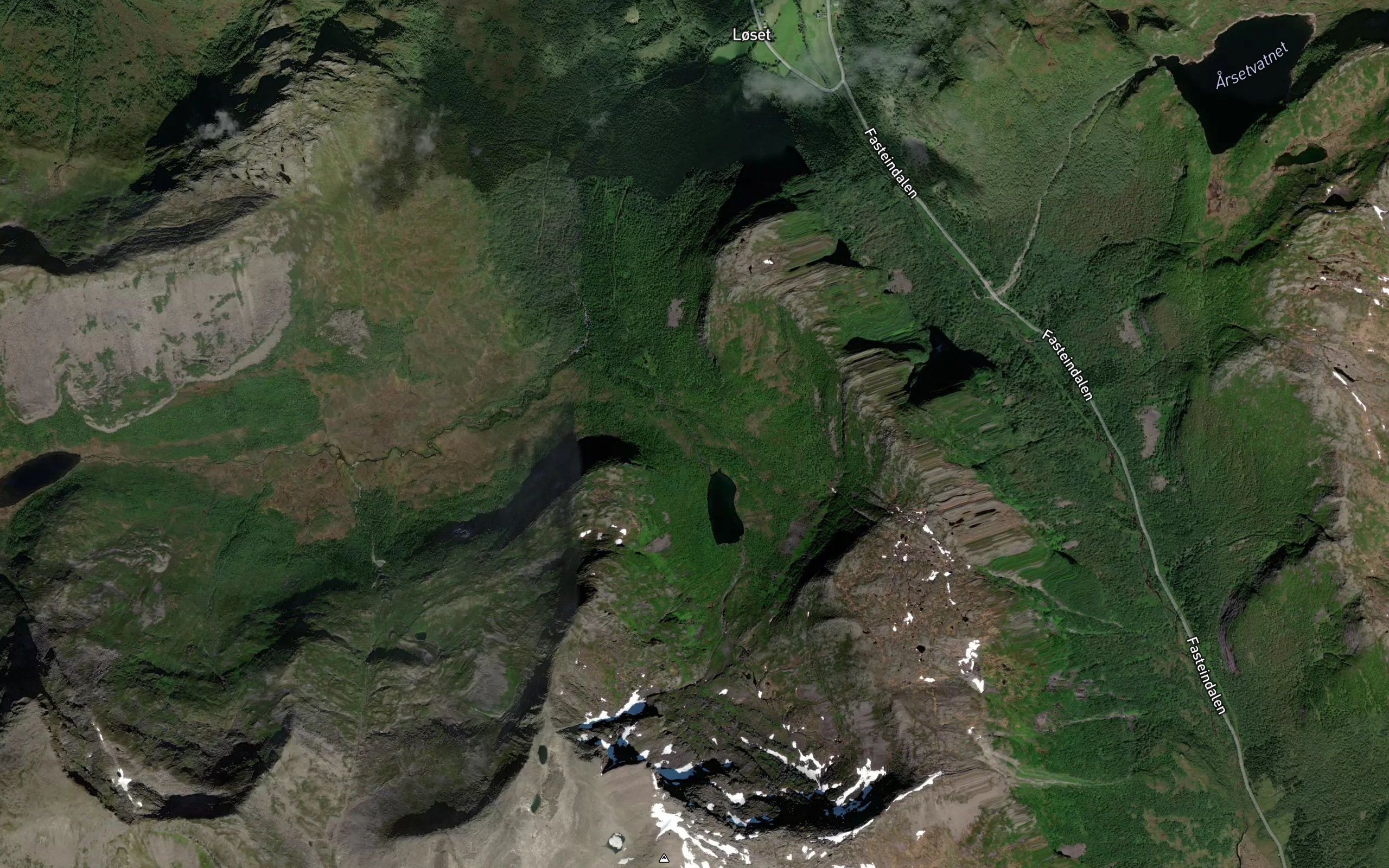 Bladalselva