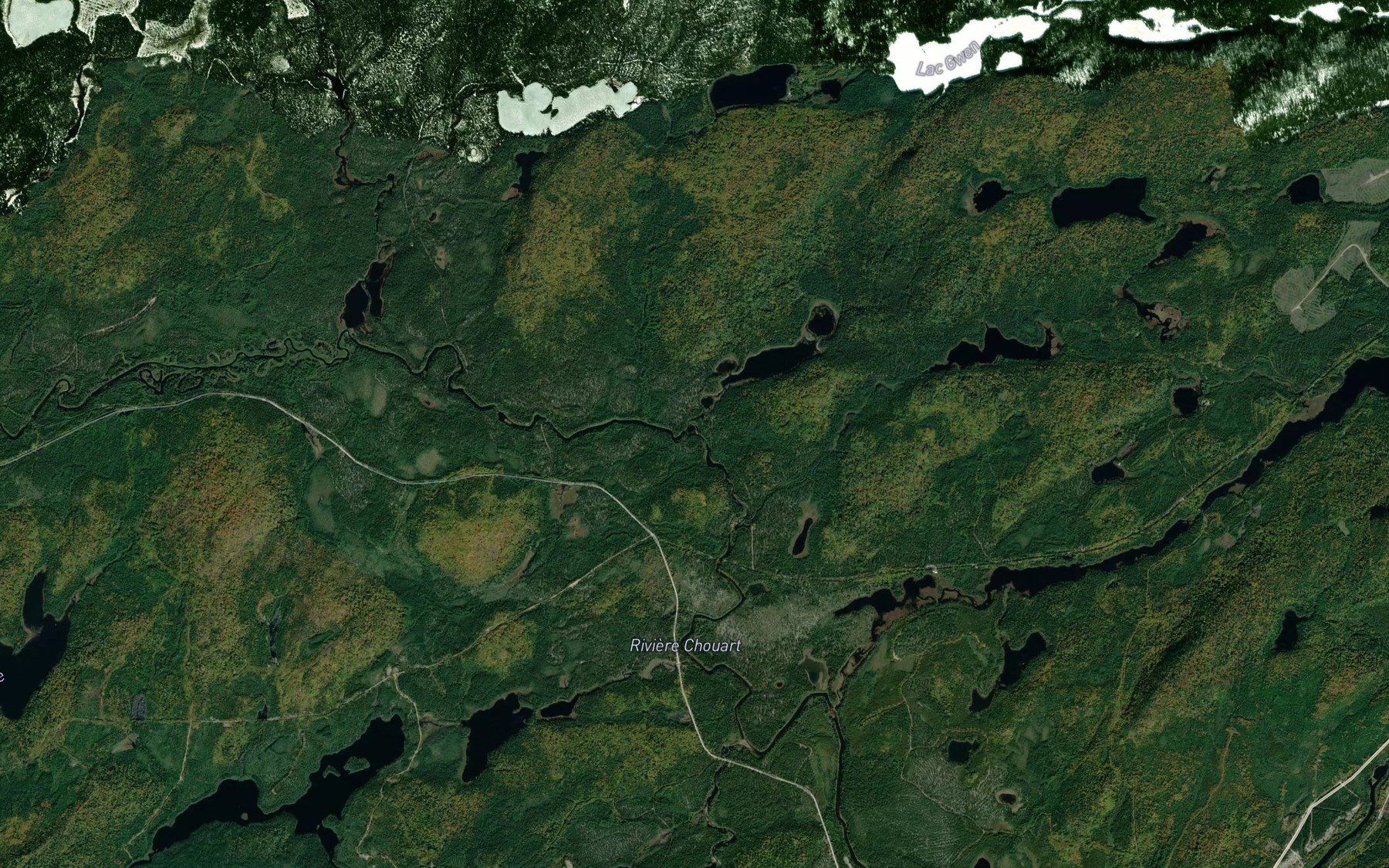 Satellite map of the Lac de l'Alambic